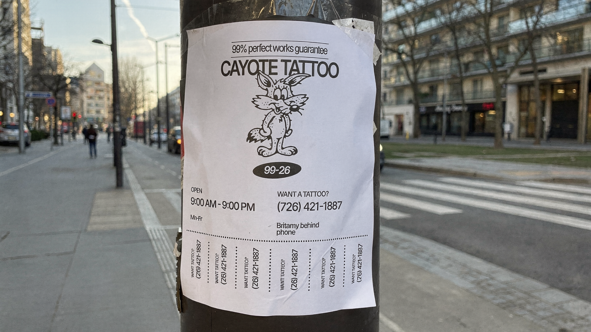 Cayote Tattoo - айдентика и фирменный стиль — Изображение №11 — Брендинг, Графика на Dprofile