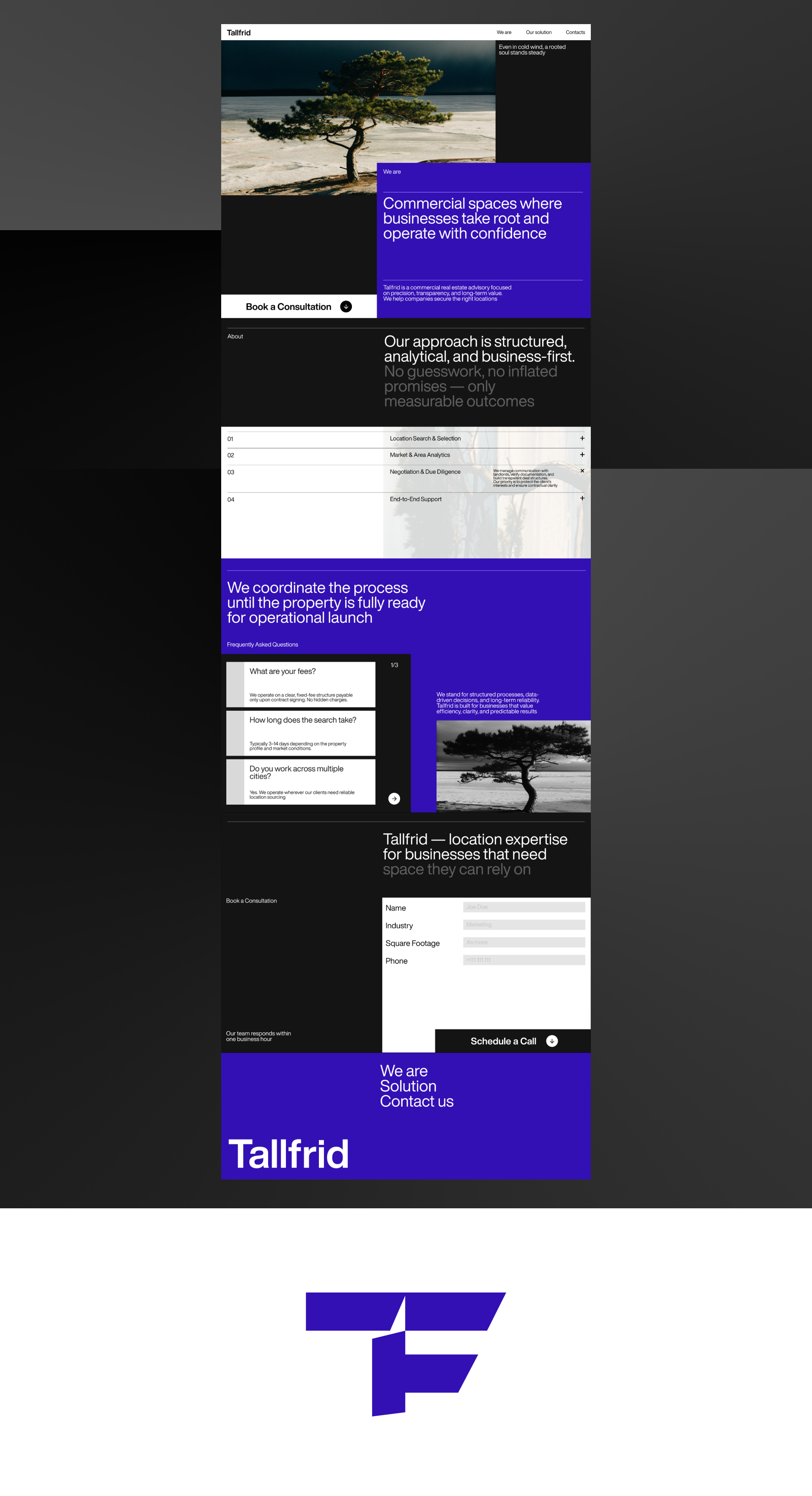 Tallfrid - айдентика и сайт для риэлтерской компании — Изображение №9 — Интерфейсы, Брендинг на Dprofile