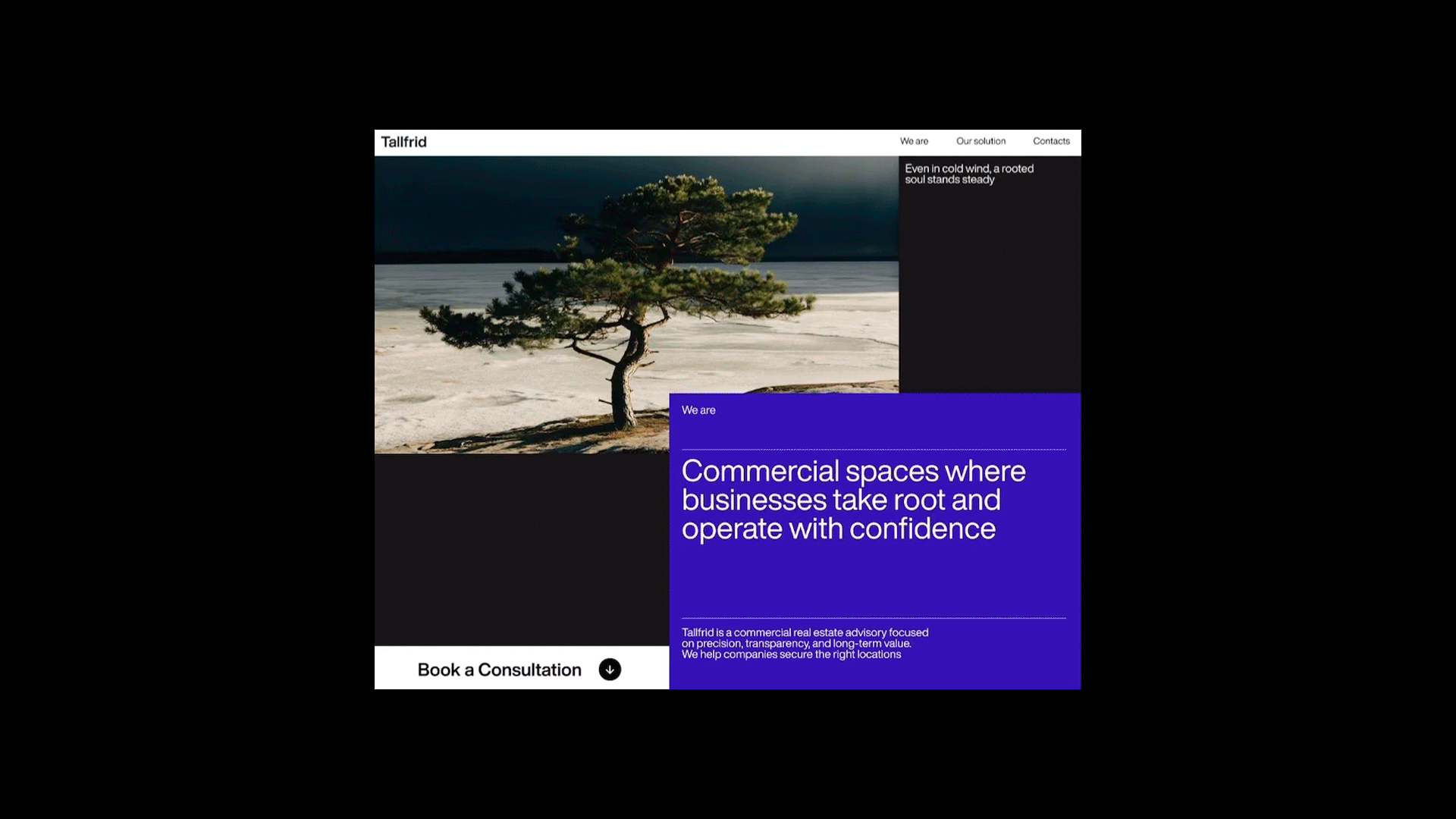 Tallfrid - айдентика и сайт для риэлтерской компании — Изображение №2 — Интерфейсы, Брендинг на Dprofile