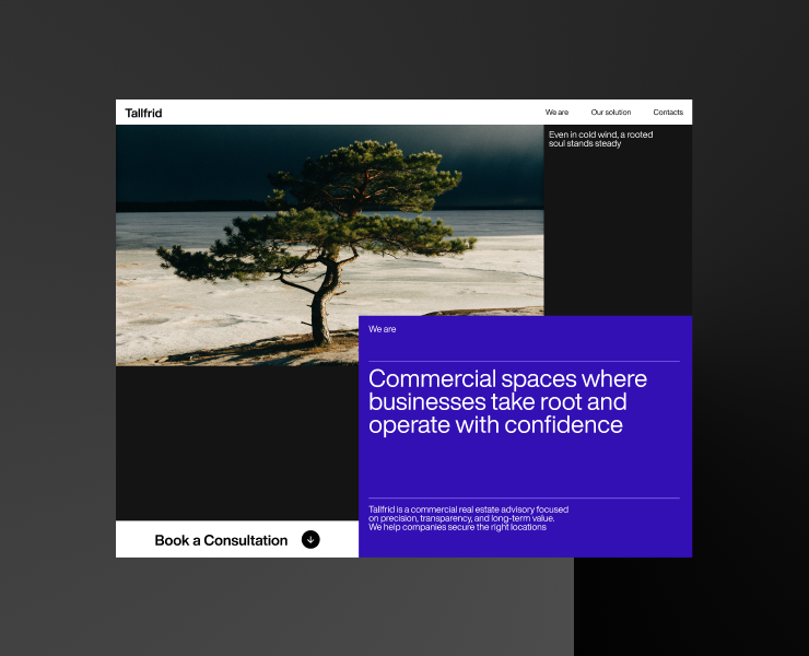 Tallfrid - айдентика и сайт для риэлтерской компании на Dprofile