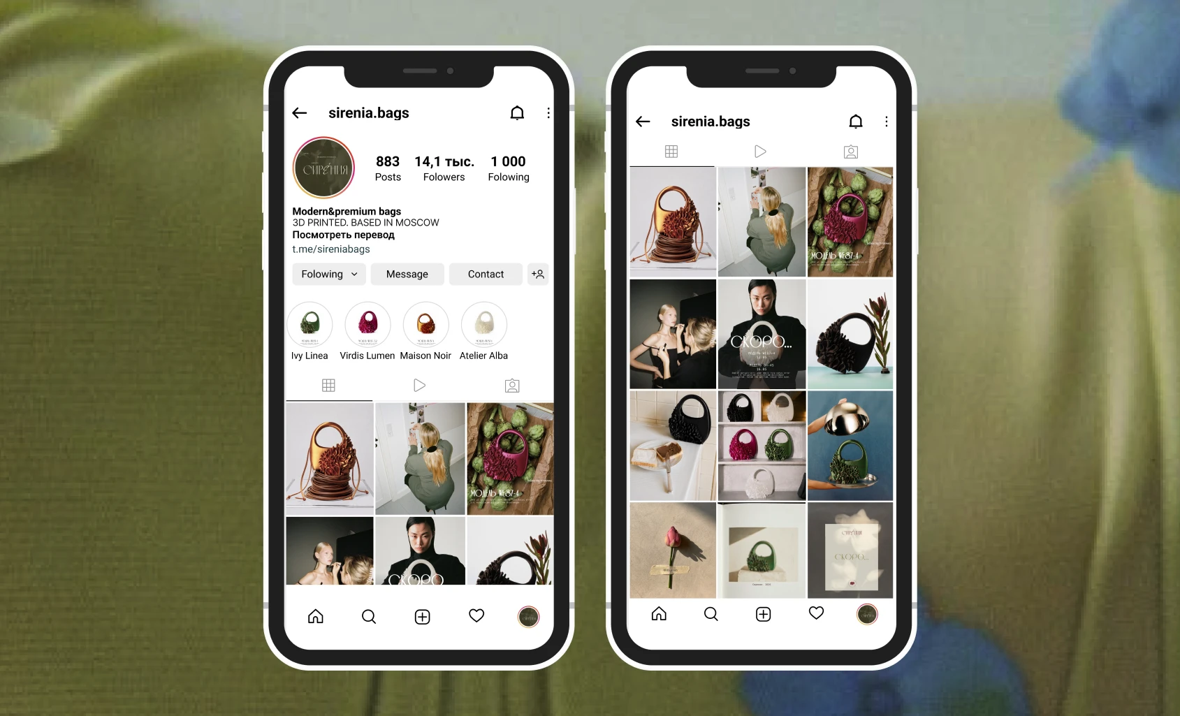 BRAND IDENTITY FOR BRAND 3D BAGS - SIRENIA — Изображение №14 — Брендинг на Dprofile