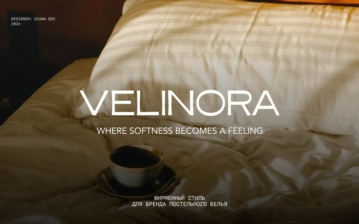 BRAND IDENTITY | VELINORA — Изображение №1 — Брендинг на Dprofile
