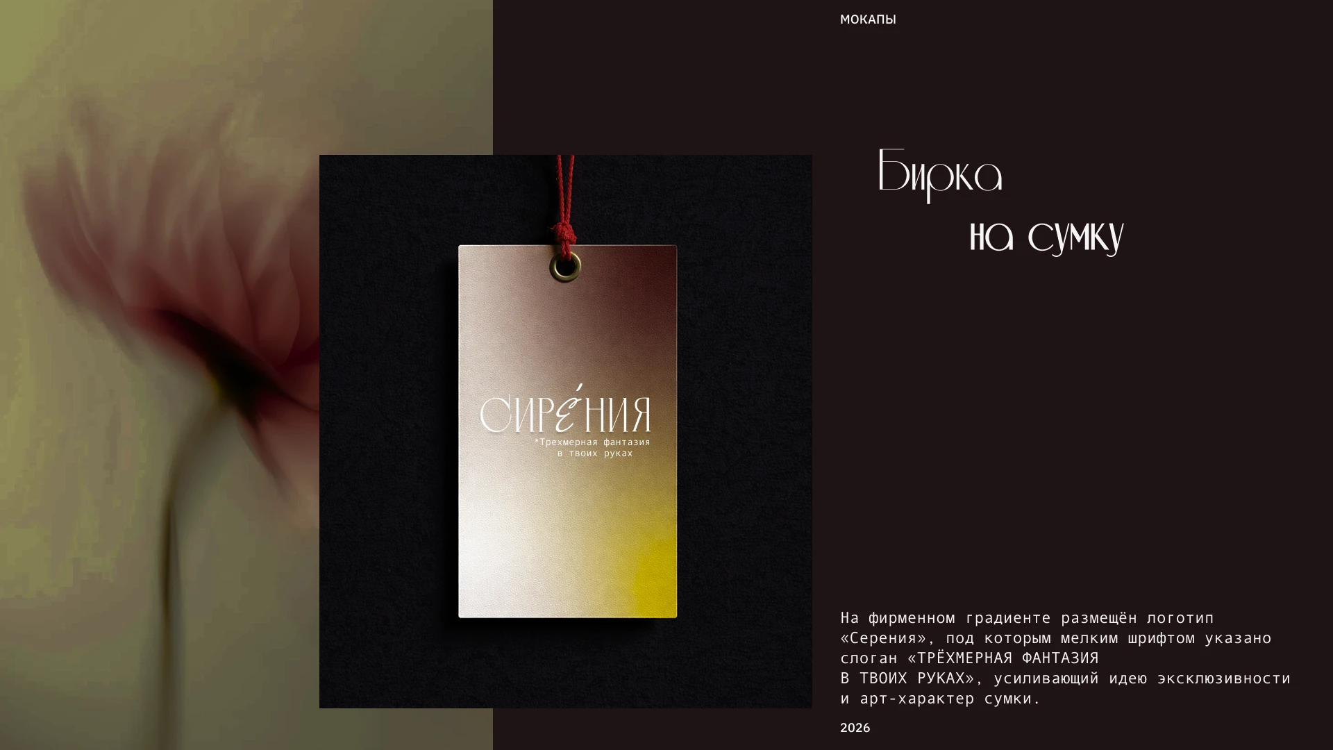 Фирменный стиль для бренда сумок — Изображение №12 — Брендинг на Dprofile