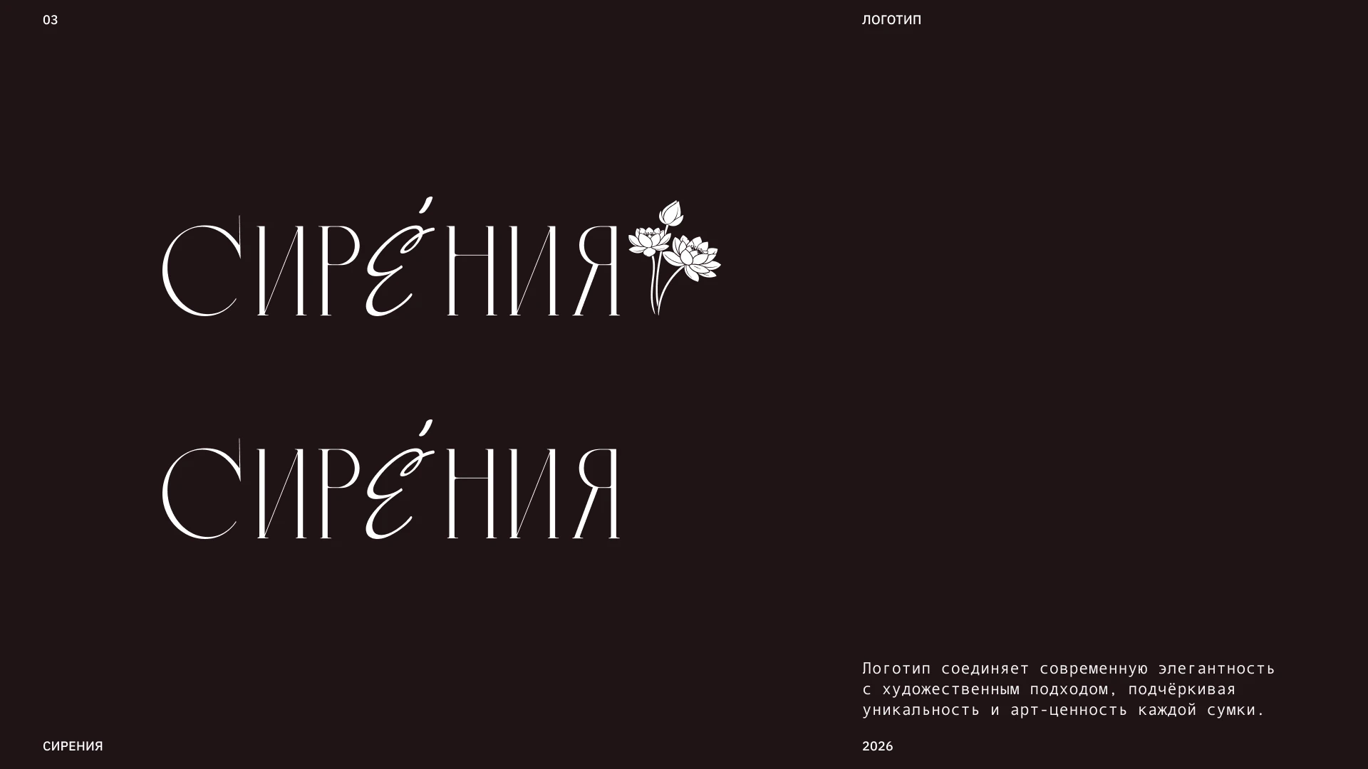 Фирменный стиль для бренда сумок — Изображение №4 — Брендинг на Dprofile