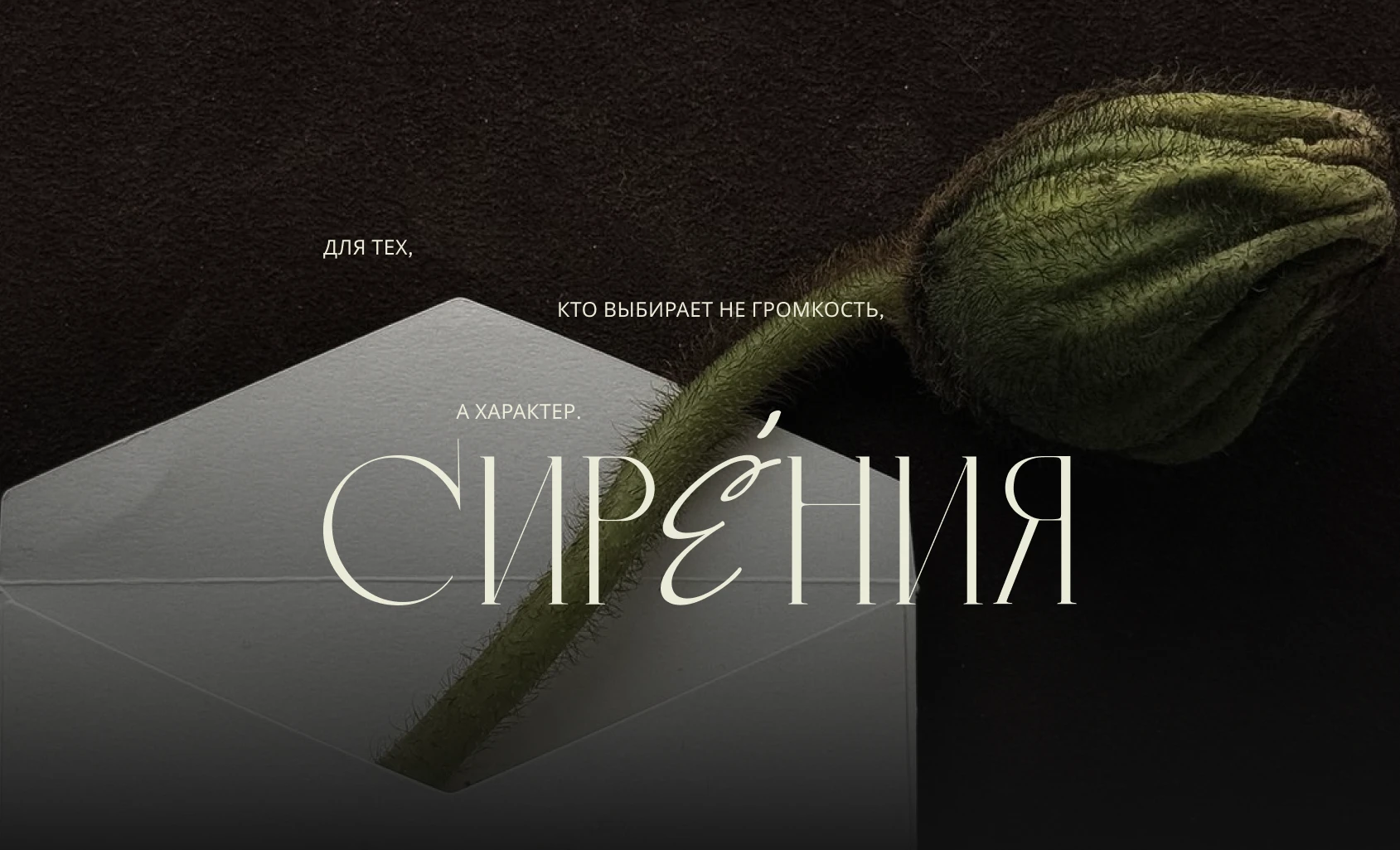 BRAND IDENTITY FOR BRAND 3D BAGS - SIRENIA — Изображение №4 — Брендинг на Dprofile