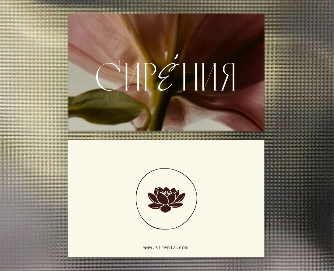 Фирменный стиль для бренда сумок — Брендинг на Dprofile