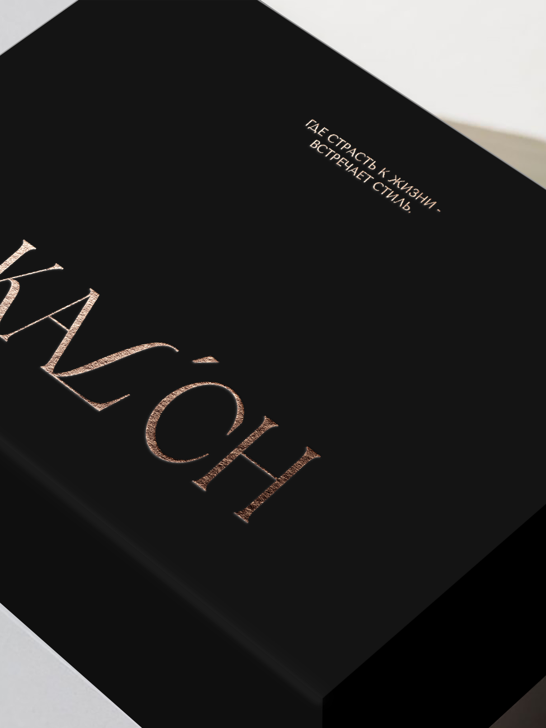 Branding / Identity clothing brand / Premium / Logotype — Изображение №6 — Брендинг на Dprofile