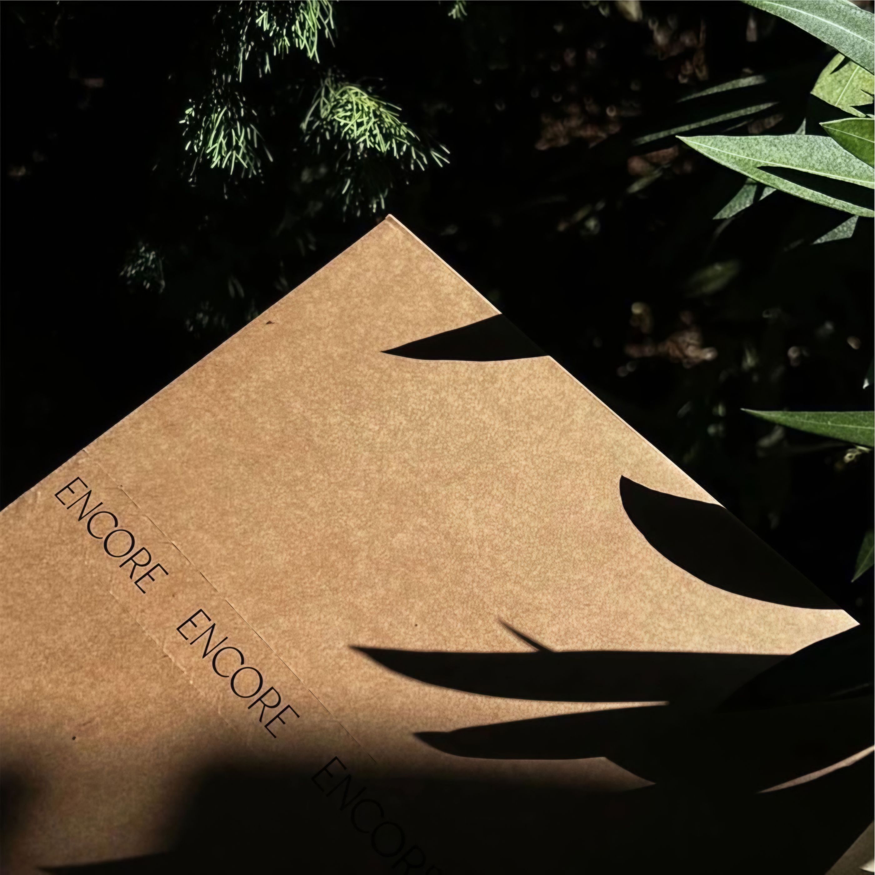 Айдентика / Логотип / Фирменный стиль бренда купальников — Изображение №15 — Брендинг на Dprofile