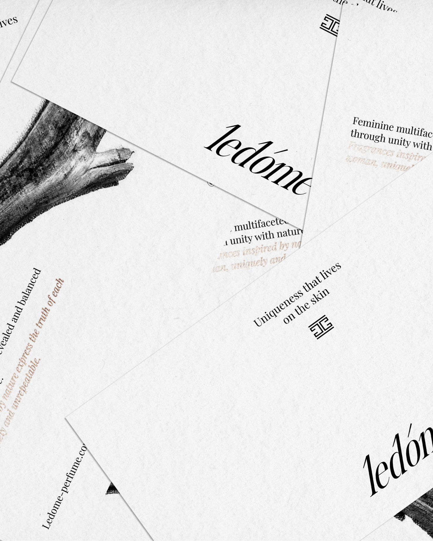 Logo collection / Brandfolio — Изображение №16 — Брендинг на Dprofile