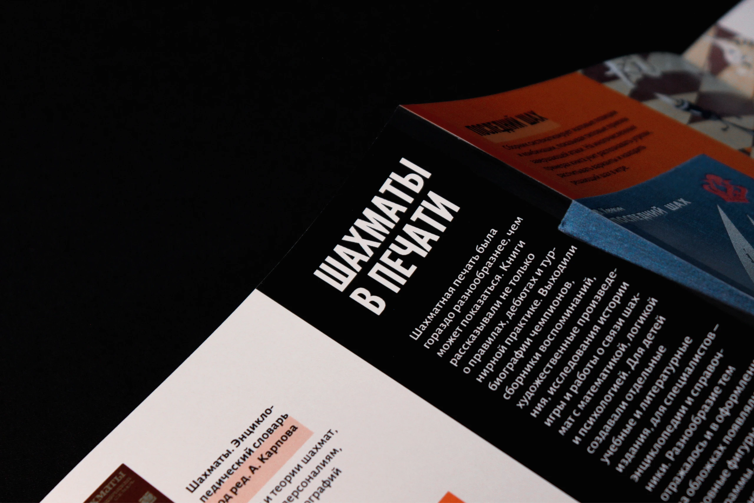 Шахматы без правил – экспериментальная книга — Изображение №44 — Графика на Dprofile