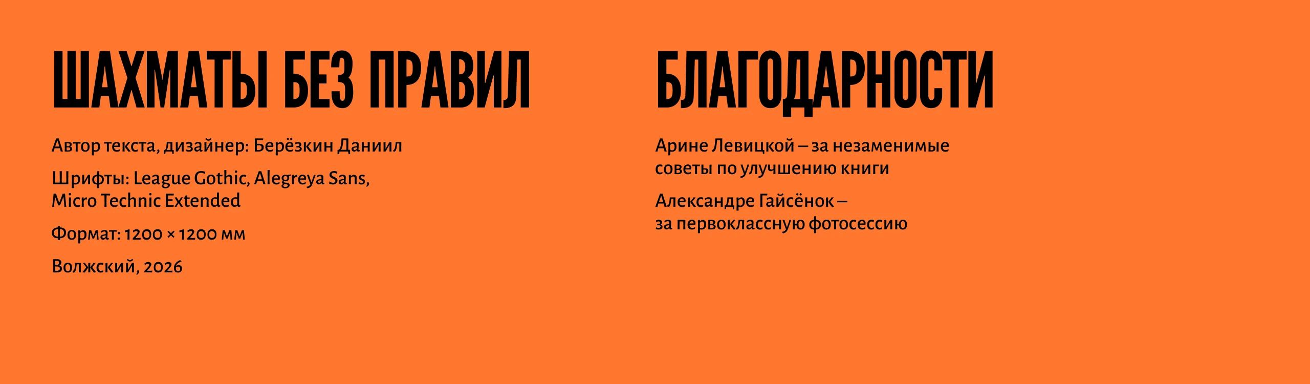 Шахматы без правил – экспериментальная книга — Изображение №53 — Графика на Dprofile