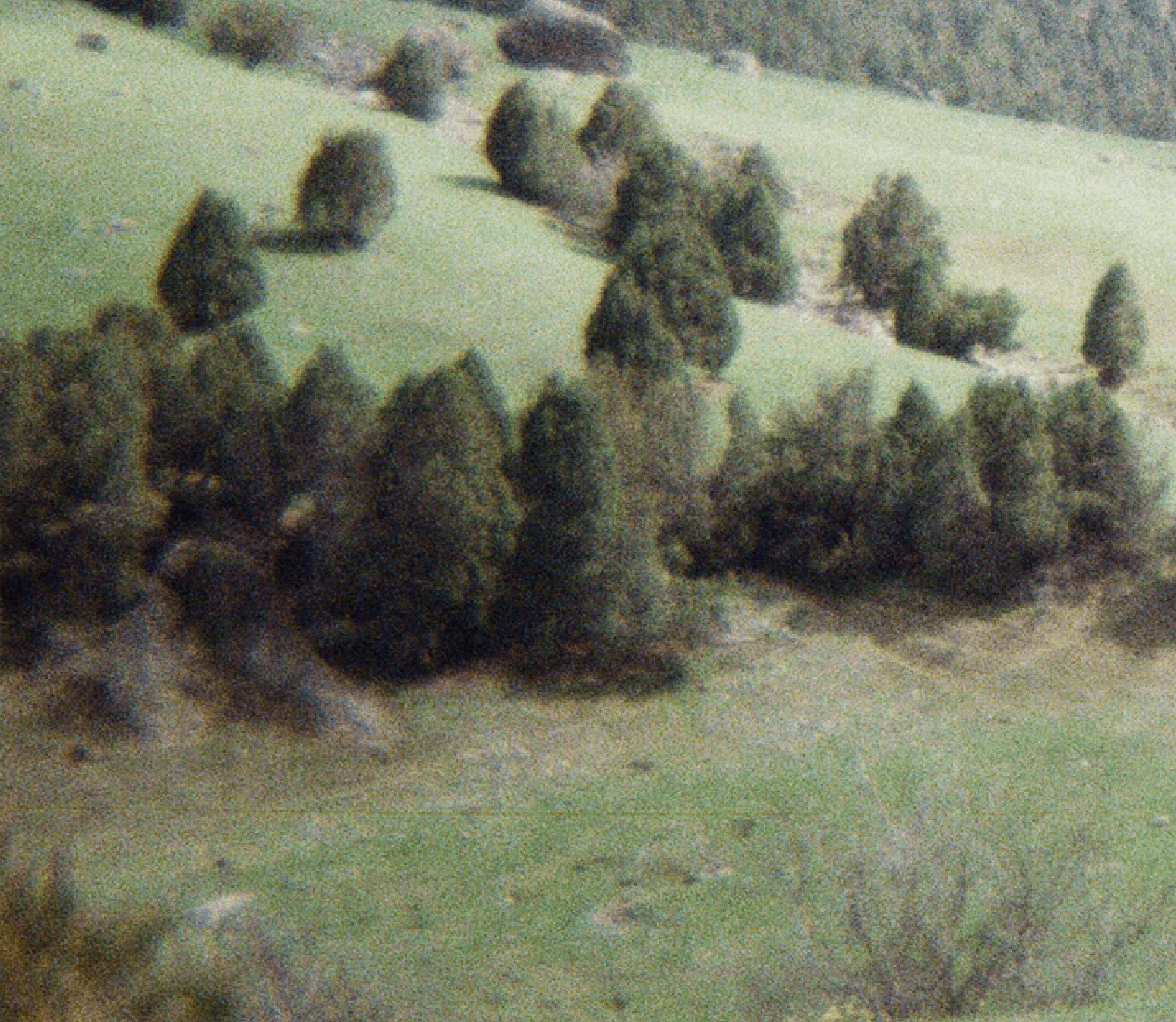 айдентика КРСУ / identity KRSU — Изображение №1 — Брендинг, Графика на Dprofile