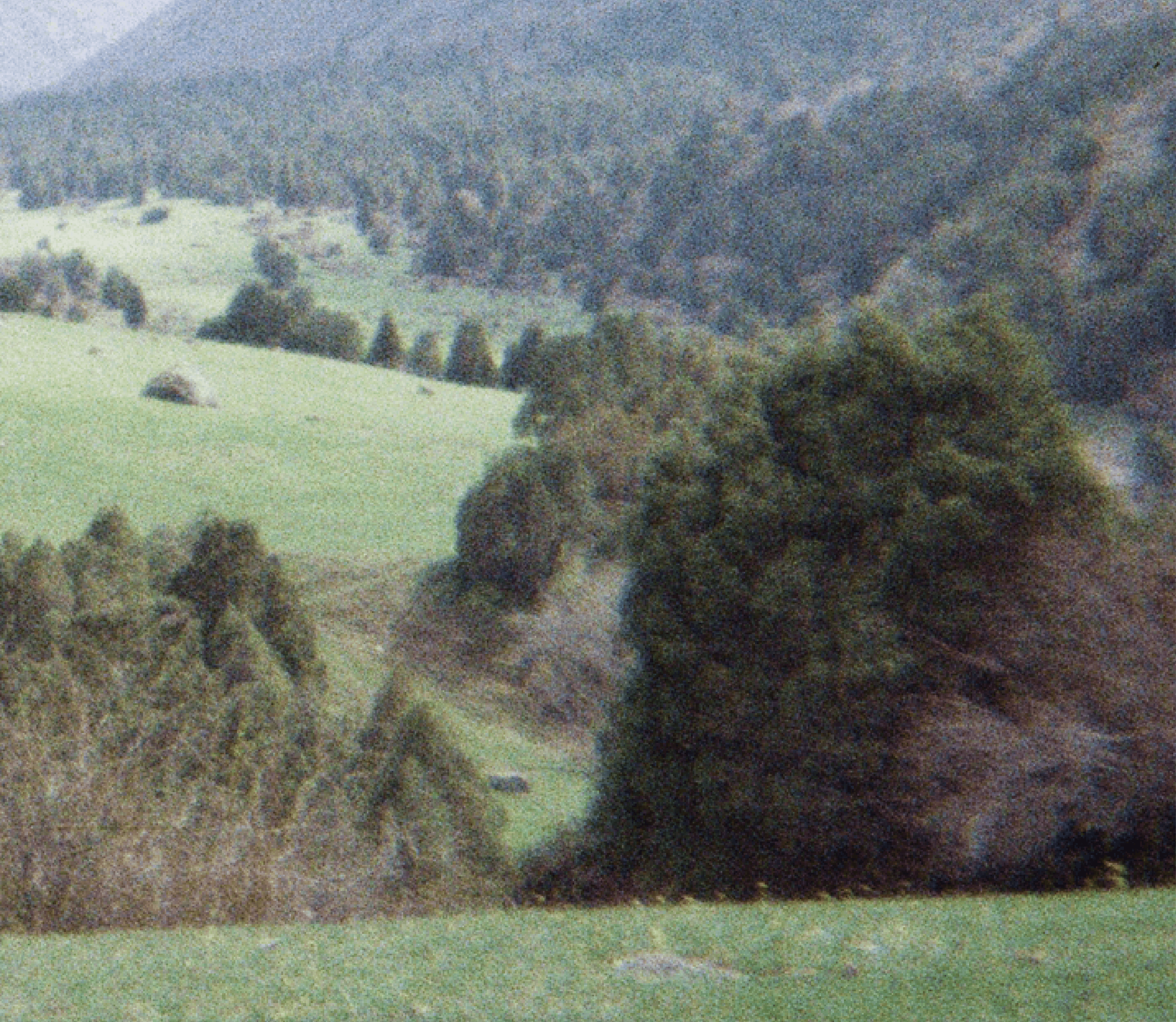 айдентика КРСУ / identity KRSU — Изображение №3 — Брендинг, Графика на Dprofile