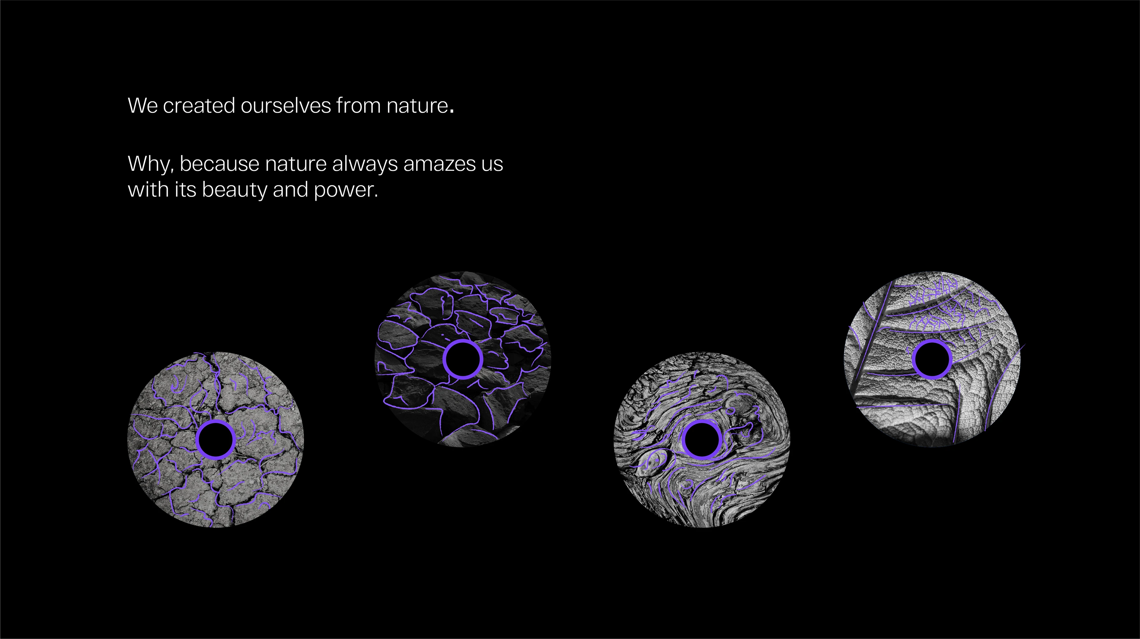 Wild Branding — Изображение №4 — Брендинг на Dprofile