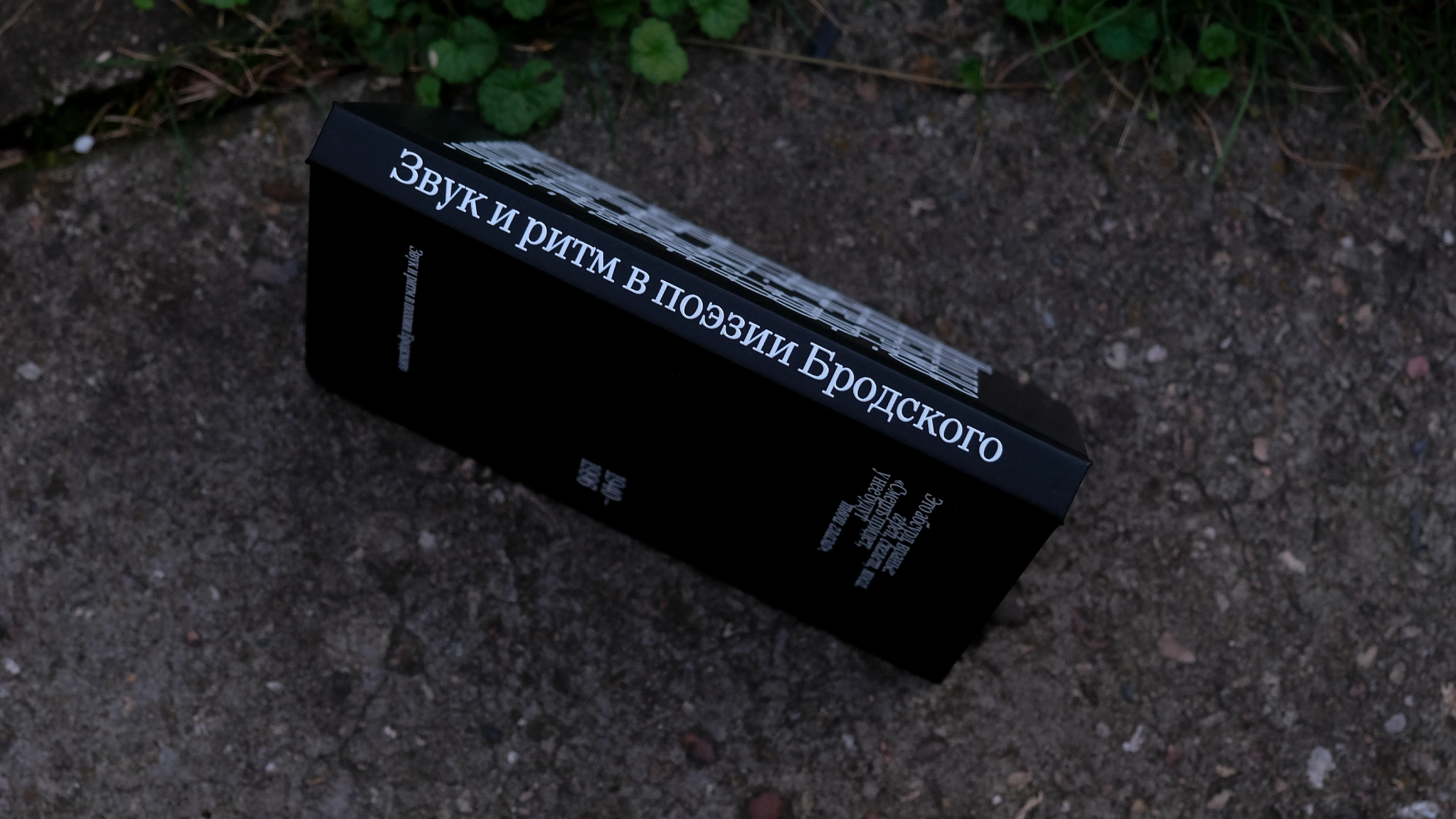 Книга – звук и ритм в поэзии Бродского — Изображение №3 — Графика на Dprofile