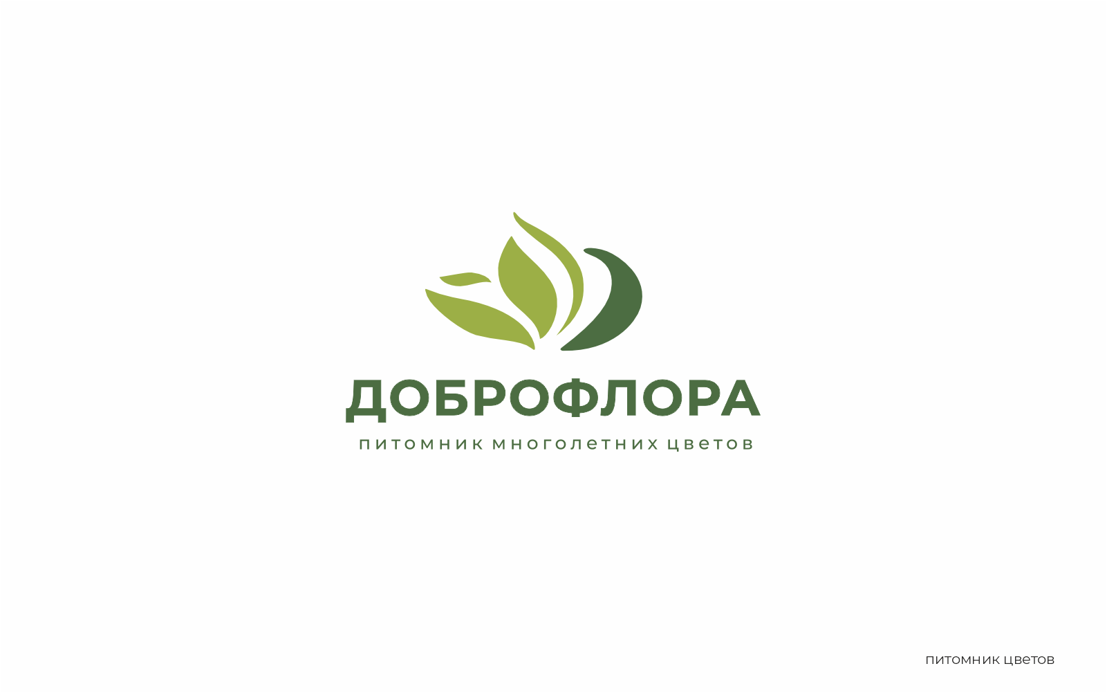 логофолио 2026-2 — Изображение №4 — Брендинг на Dprofile