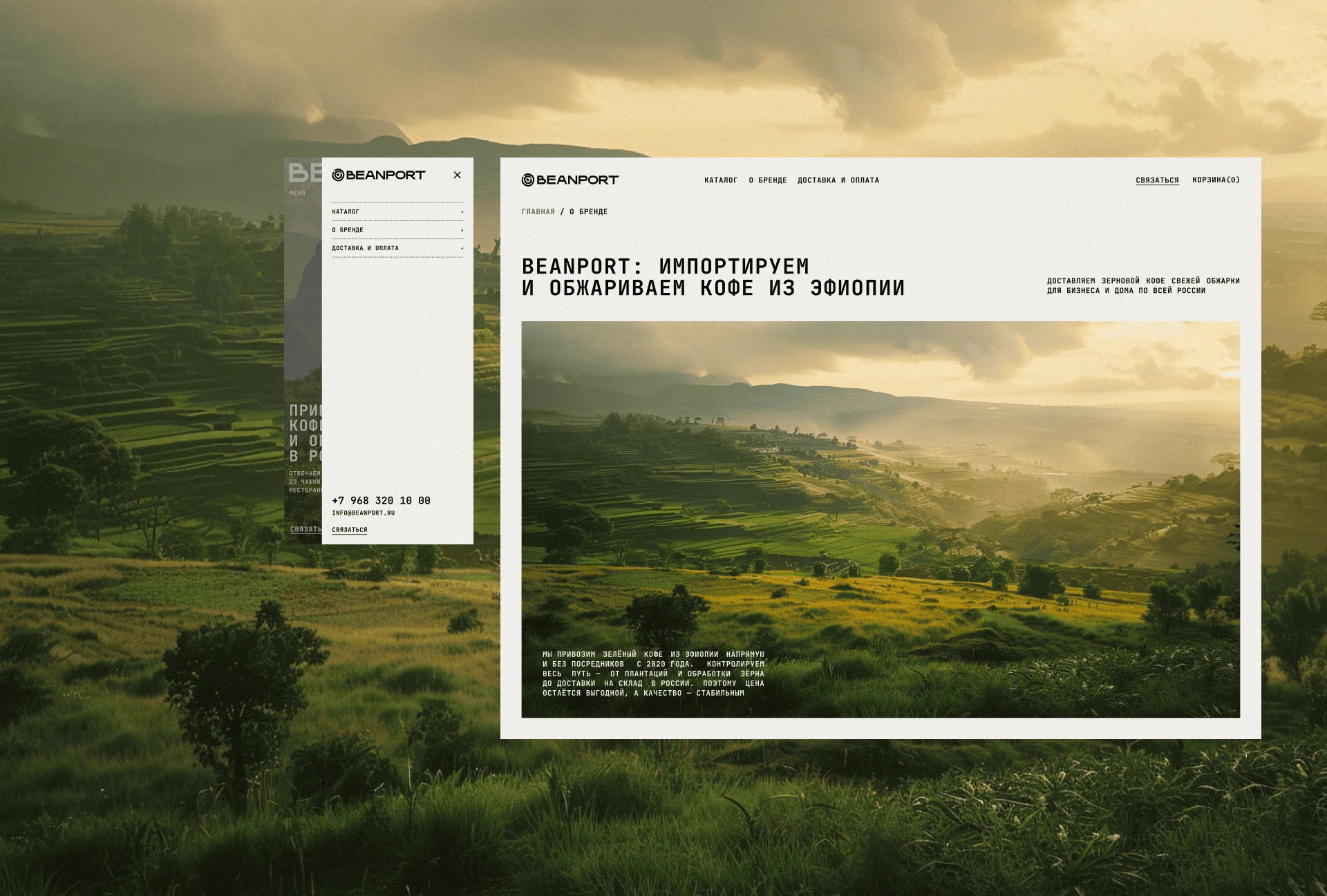 Beanport — брендинг для импортера кофе из Эфиопии — Изображение №13 — Брендинг на Dprofile