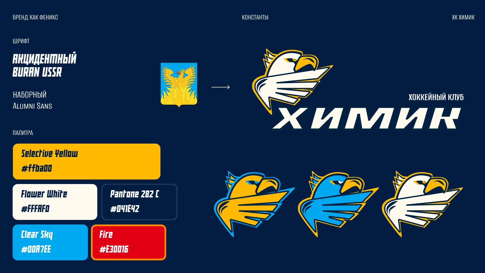 Ребрендинг ХК Химик — Изображение №9 — Брендинг на Dprofile