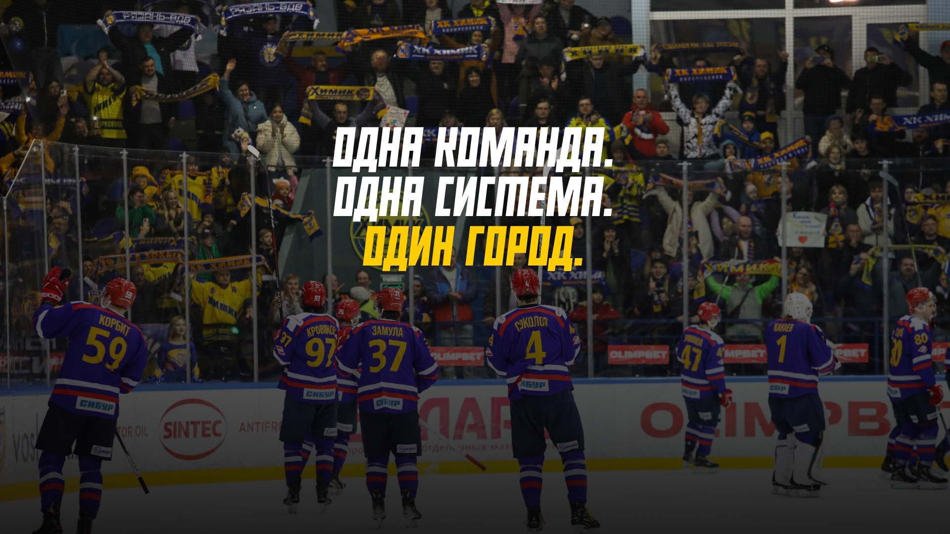 Ребрендинг ХК Химик — Изображение №25 — Брендинг на Dprofile