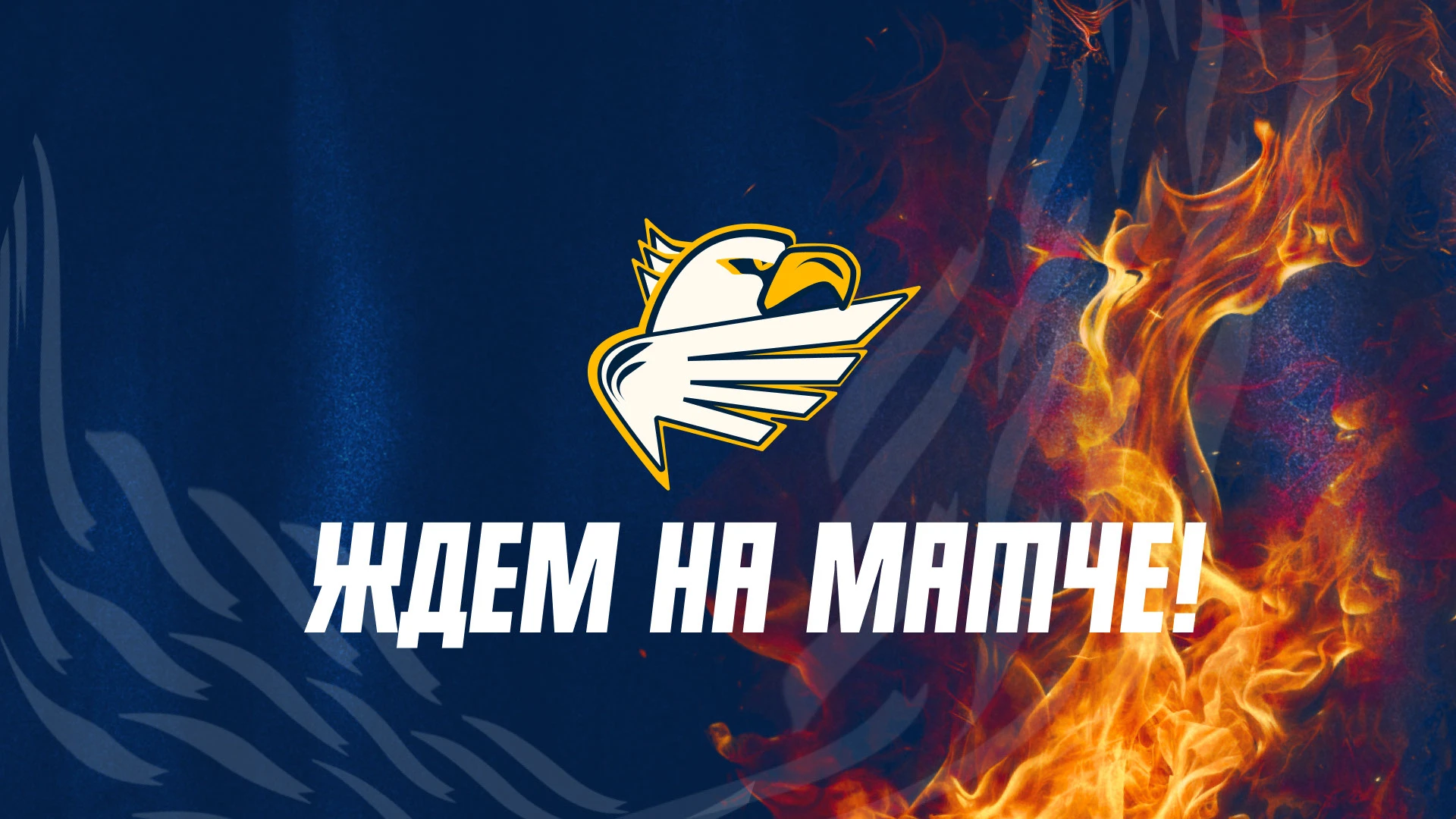 Ребрендинг ХК Химик — Изображение №28 — Брендинг на Dprofile