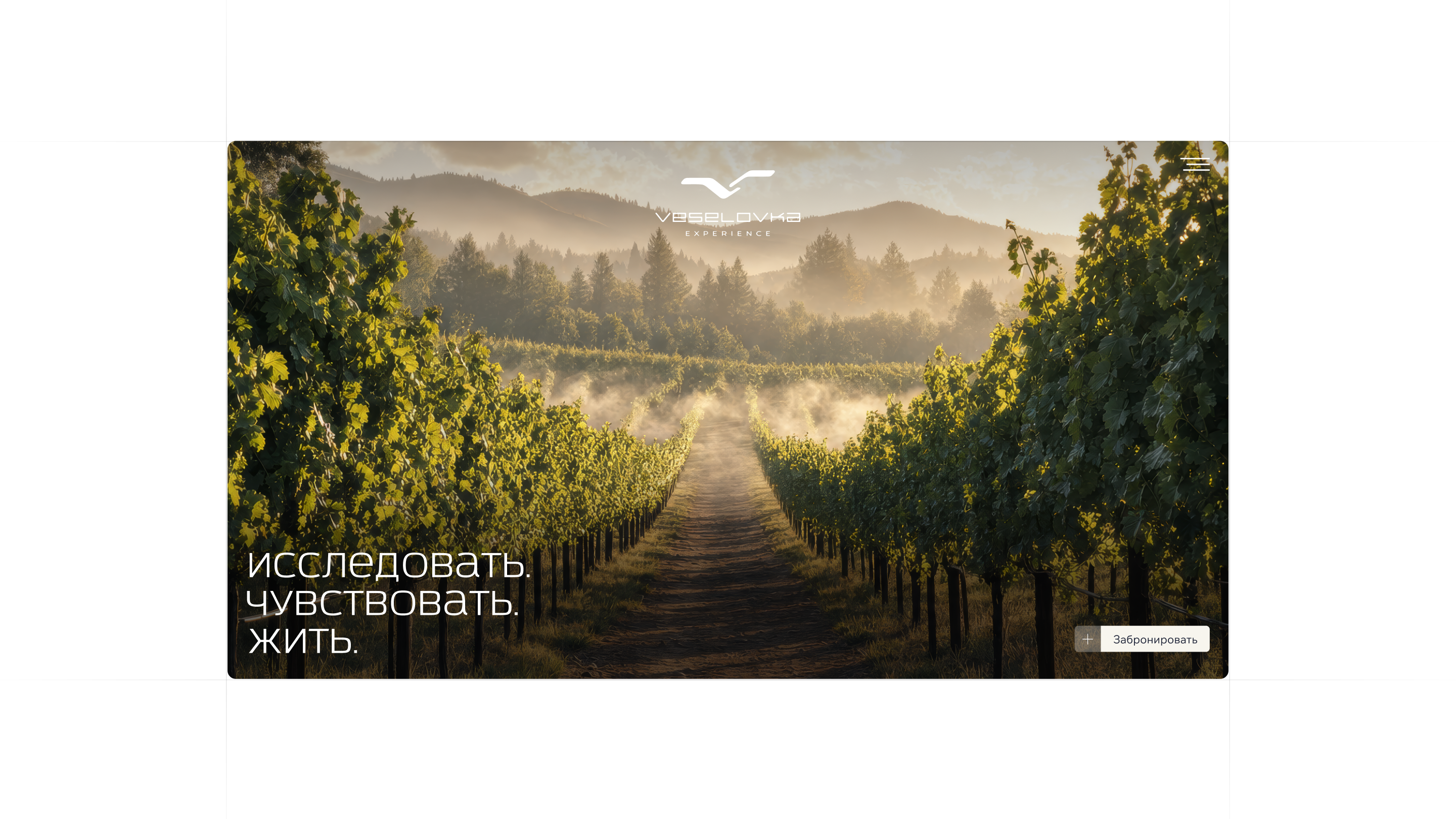 VESELOVKA | Дизайн и разработка сайта — Изображение №3 — Интерфейсы на Dprofile
