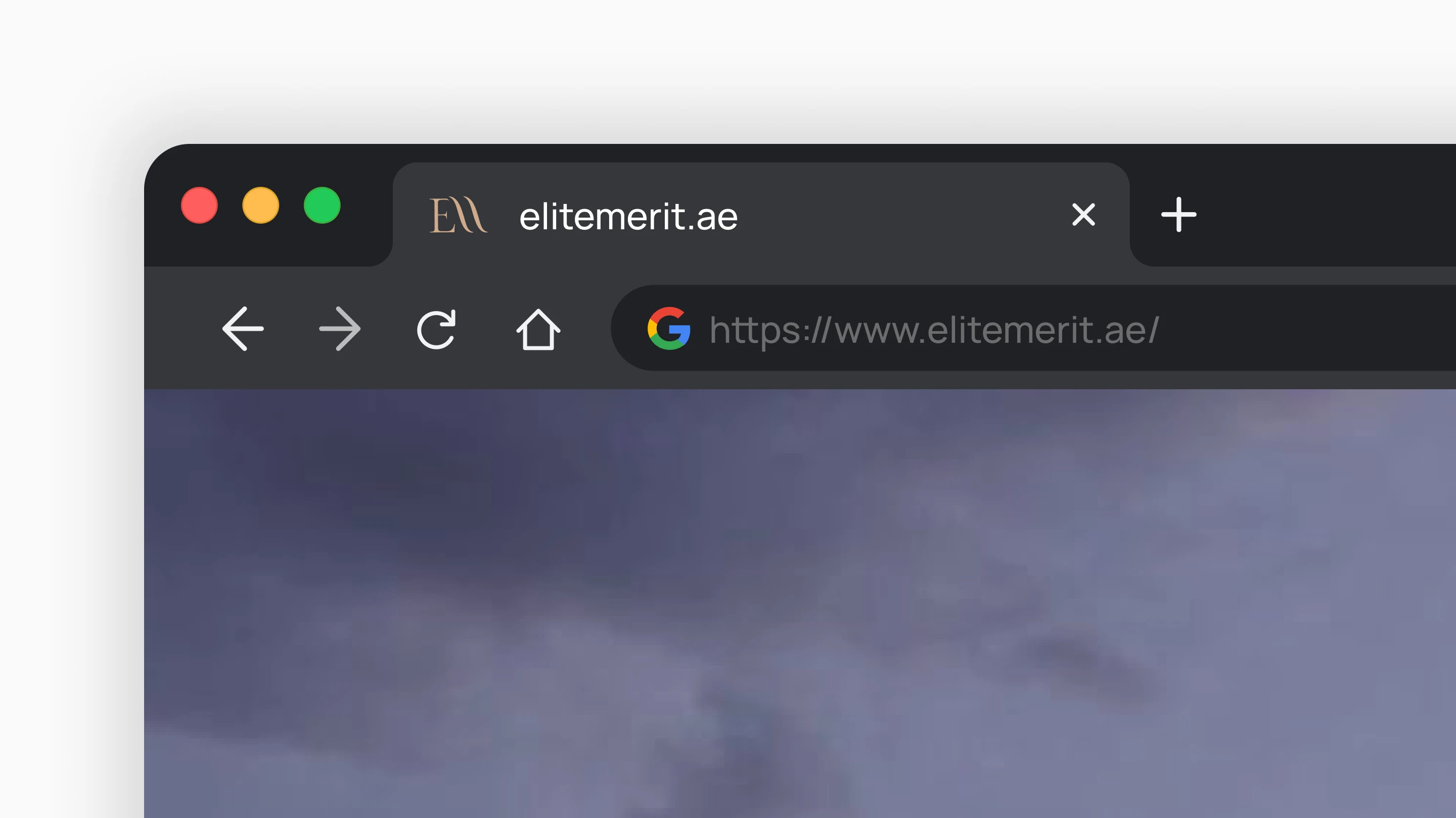 Elite Merit | Дизайн сайта — Изображение №33 — Интерфейсы на Dprofile