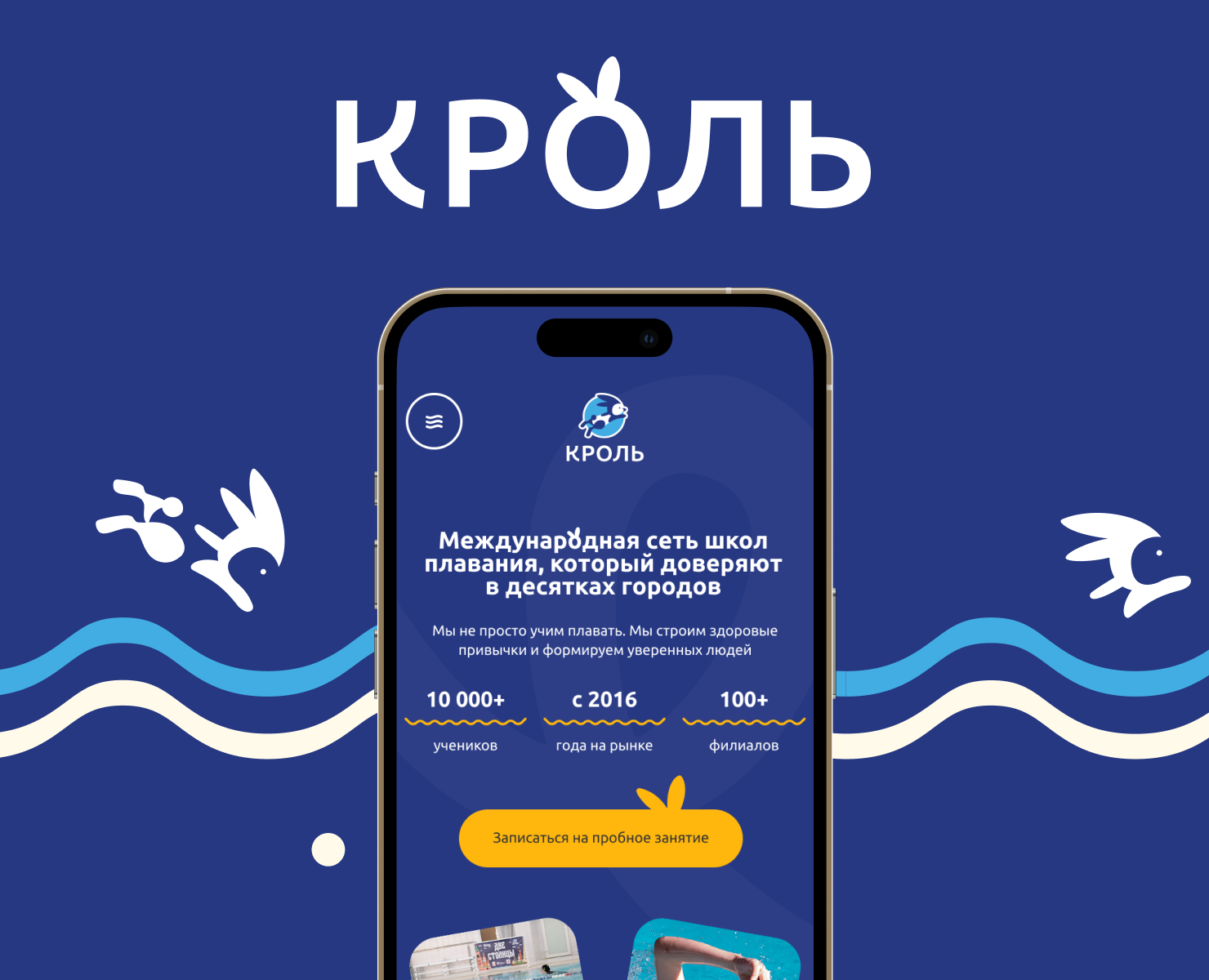 Международная школа плавания Кроль — Интерфейсы, Брендинг на Dprofile