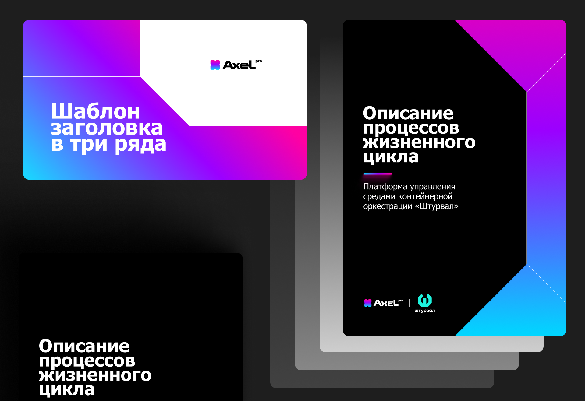 Axel PRO Кибербез / инвестиции — Изображение №19 — Брендинг, Иллюстрация на Dprofile