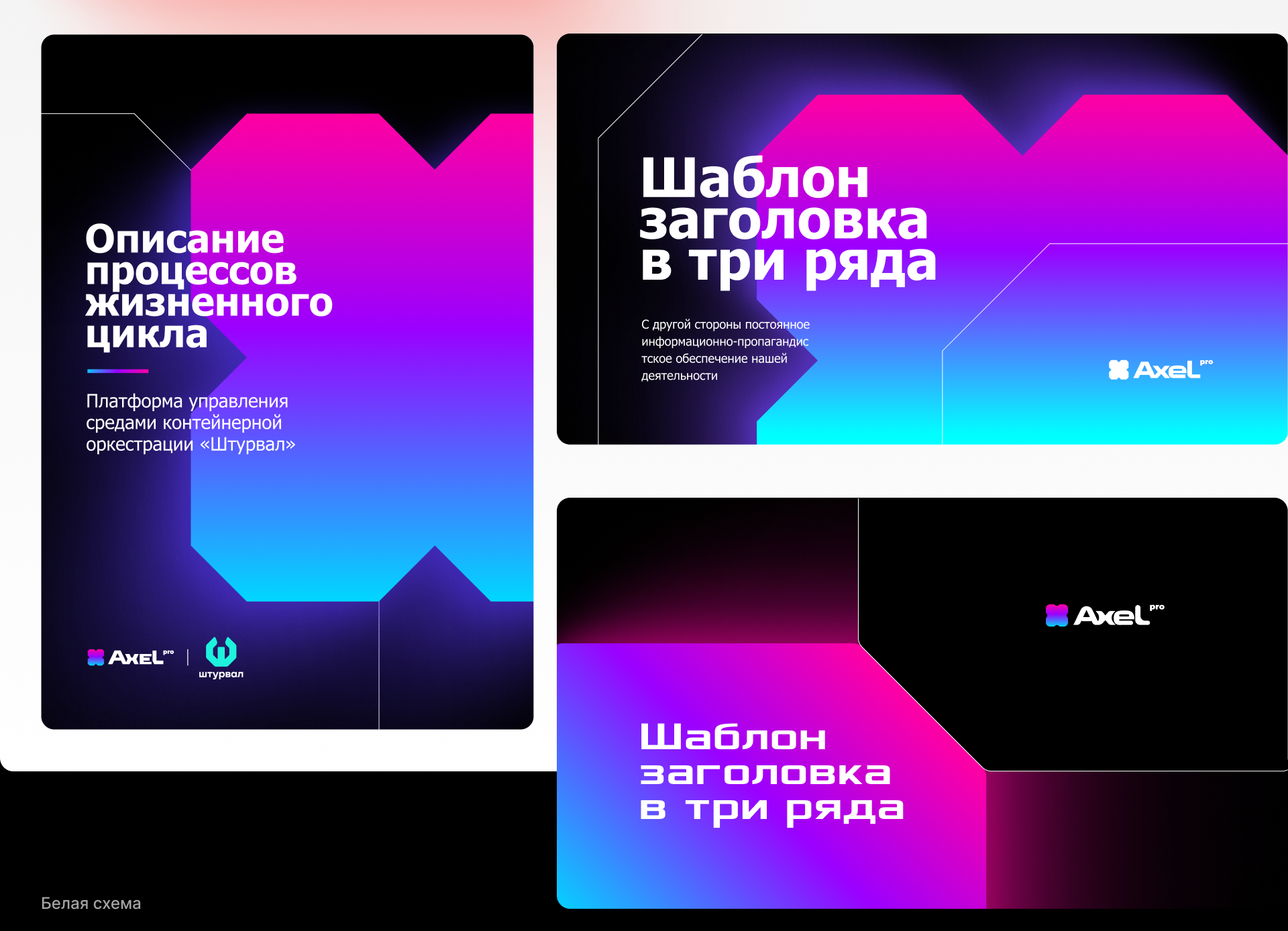 Axel PRO Кибербез / инвестиции — Изображение №10 — Брендинг, Иллюстрация на Dprofile