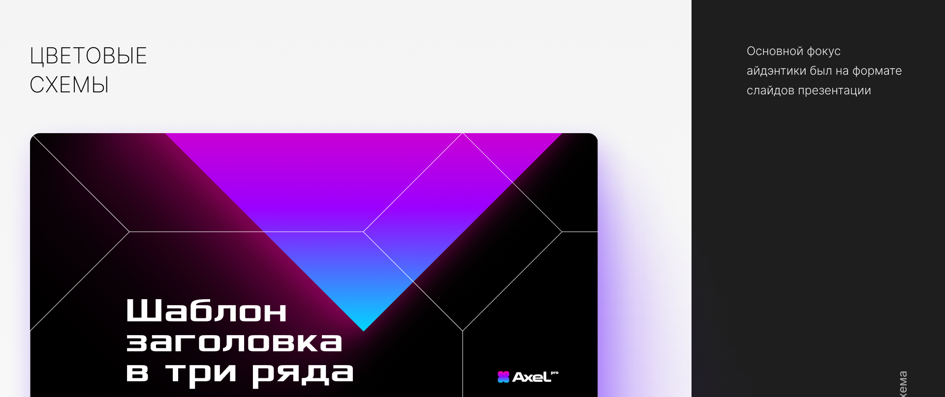 Axel PRO Кибербез / инвестиции — Изображение №8 — Брендинг, Иллюстрация на Dprofile