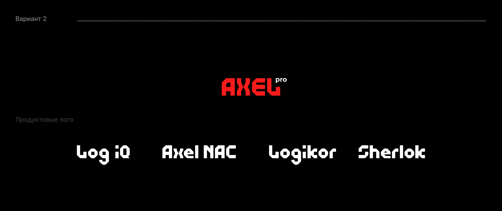 Axel PRO Кибербез / инвестиции — Изображение №4 — Брендинг, Иллюстрация на Dprofile