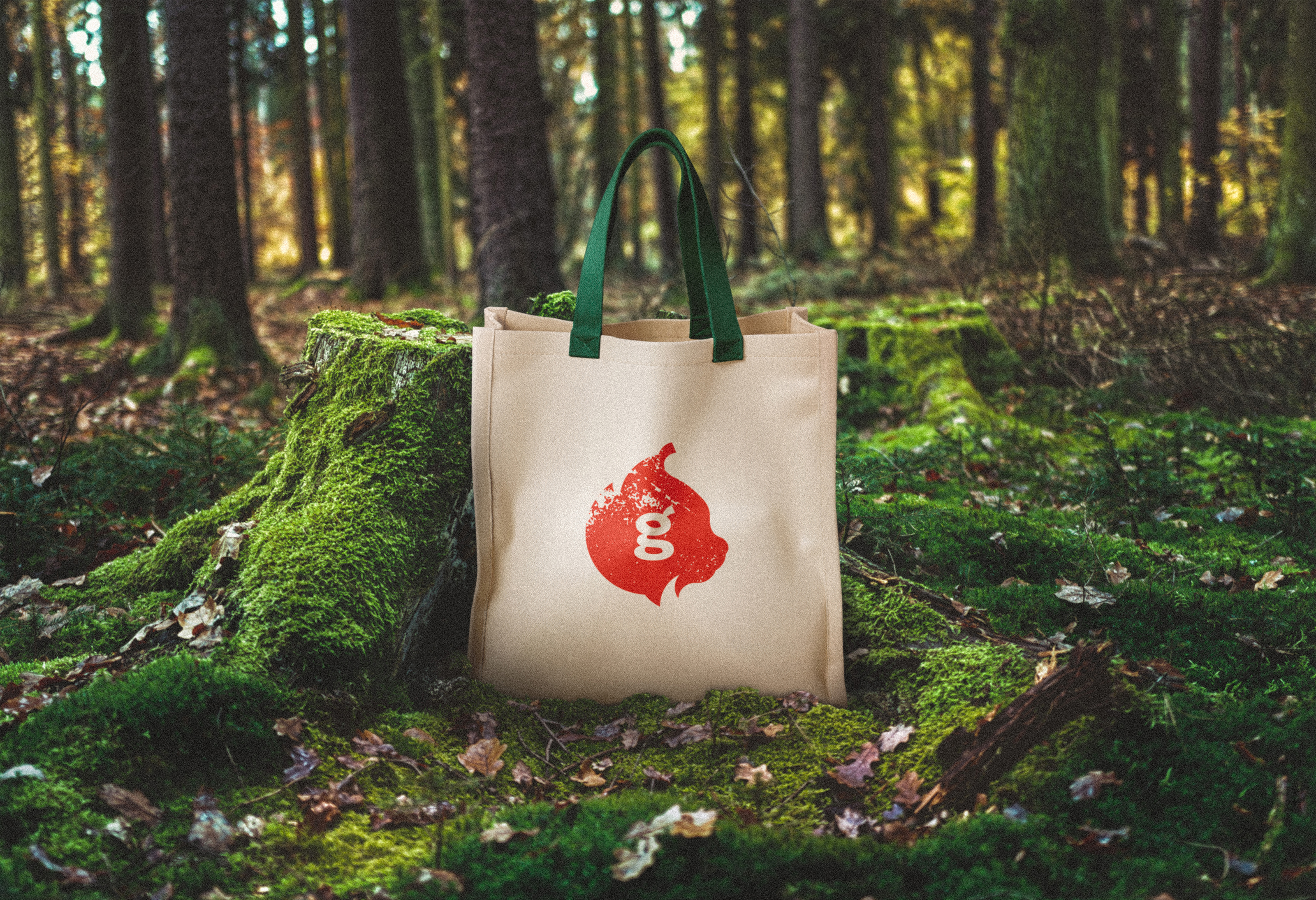 GREENGO | товары для туризма | логотип & брендинг — Изображение №7 — Брендинг на Dprofile