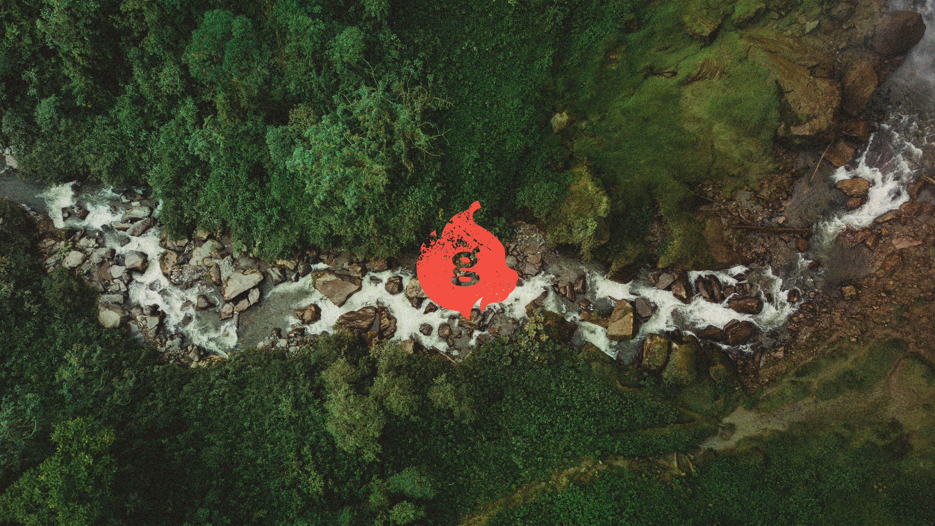 GREENGO | товары для туризма | логотип & брендинг — Изображение №20 — Брендинг на Dprofile