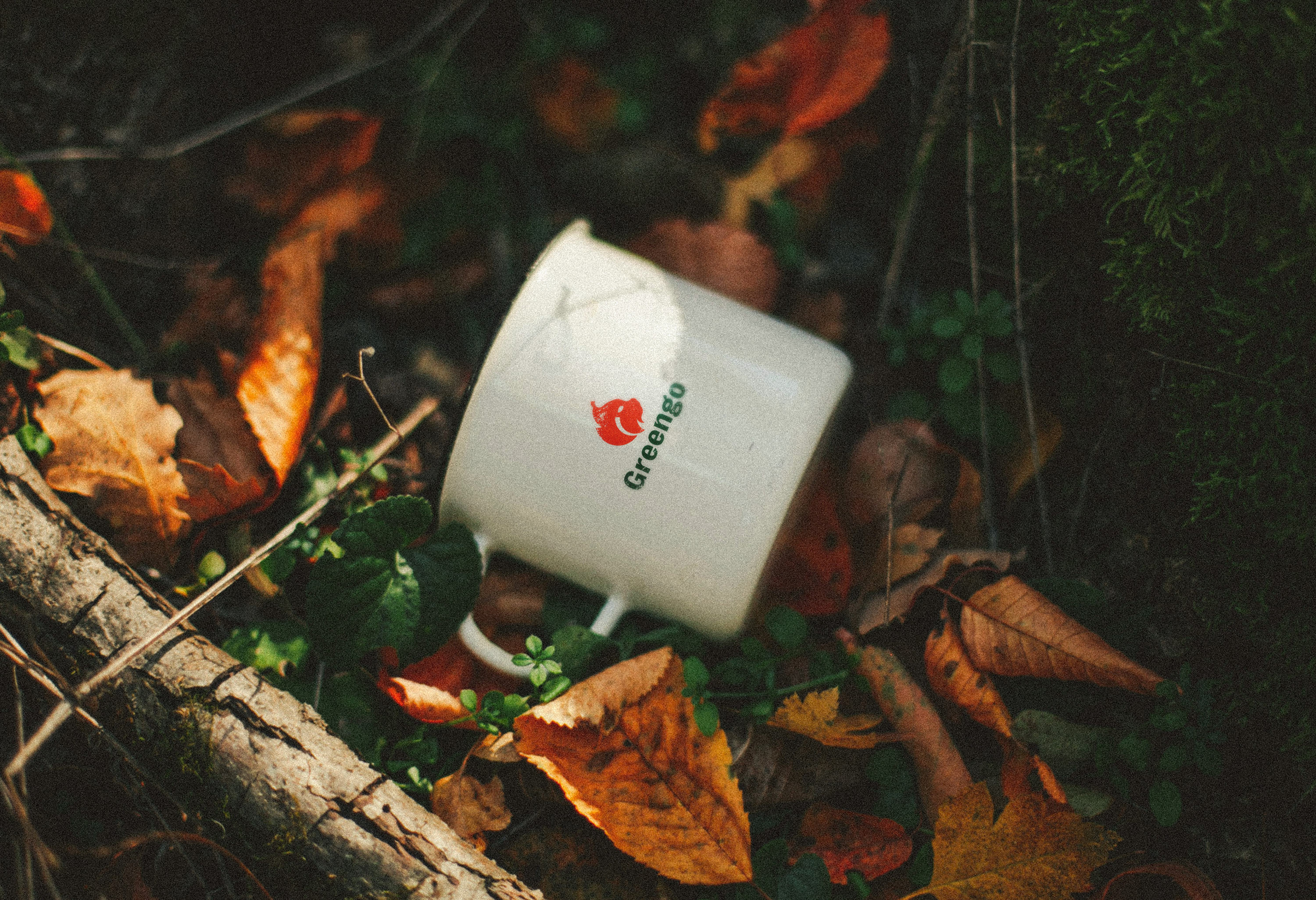 GREENGO | товары для туризма | логотип & брендинг — Изображение №5 — Брендинг на Dprofile