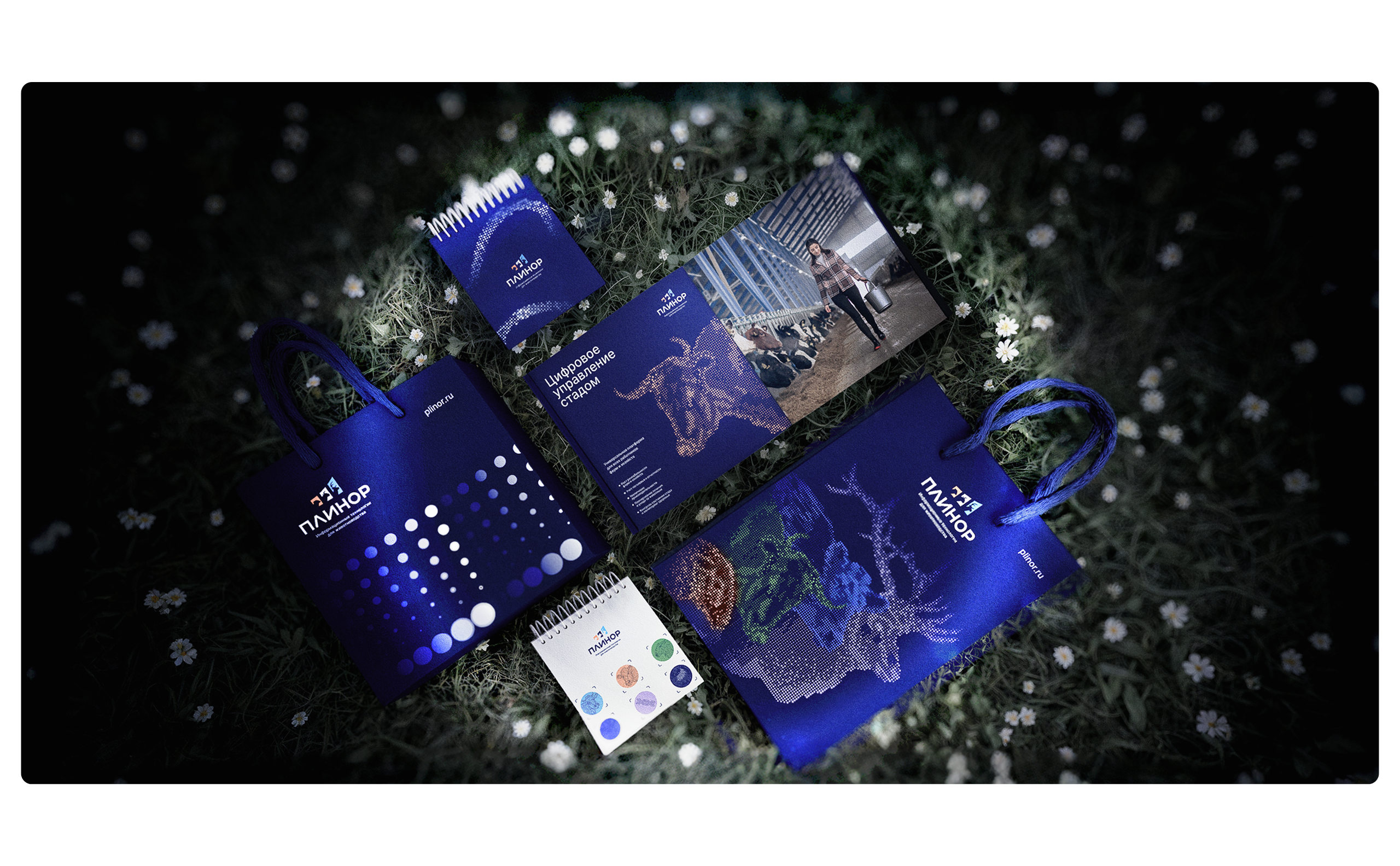 Плинор // Брендинг и сайт IT-вендора — Изображение №5 — Интерфейсы, Брендинг на Dprofile