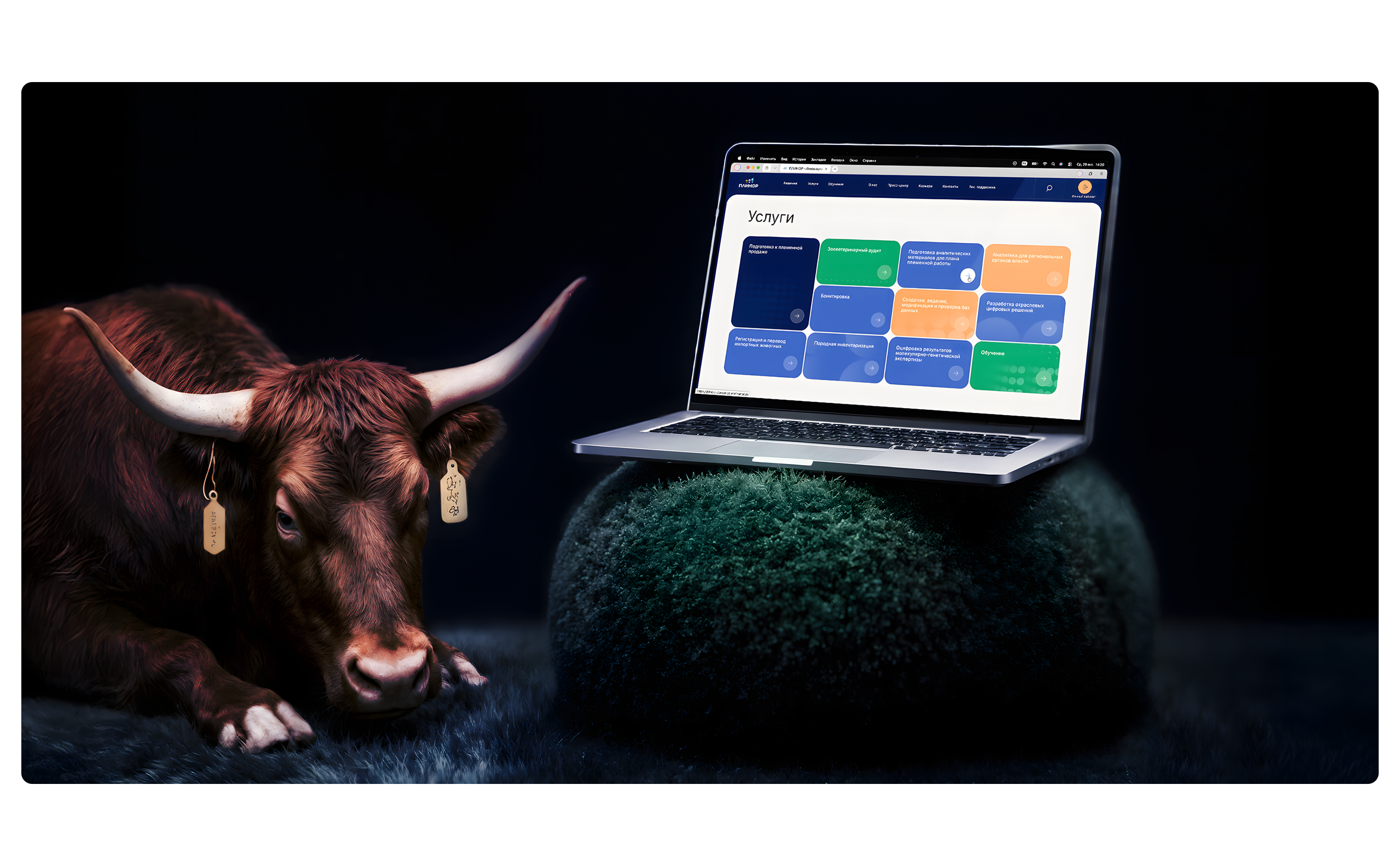 Плинор // Брендинг и сайт IT-вендора — Изображение №10 — Интерфейсы, Брендинг на Dprofile