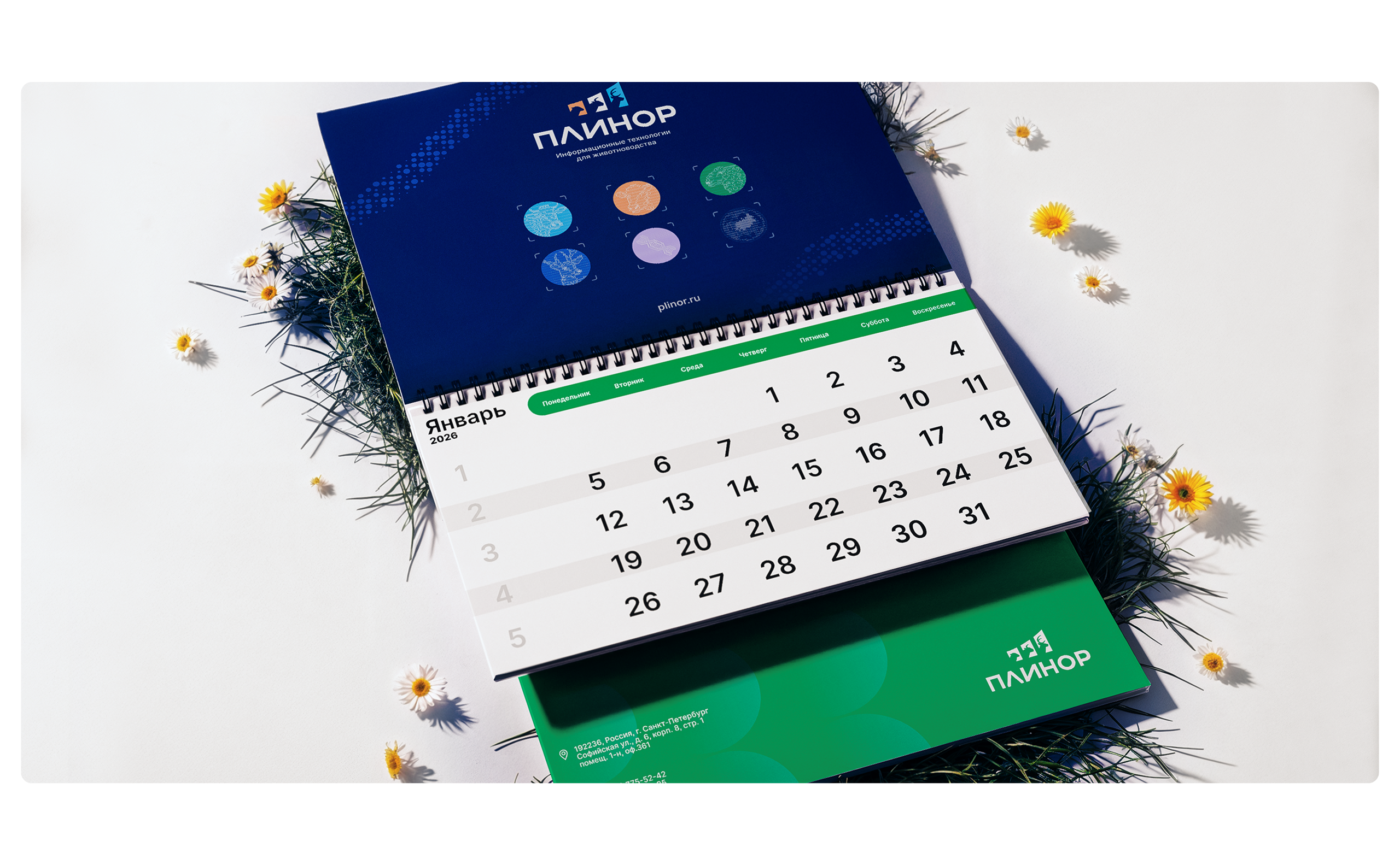 Плинор // Брендинг и сайт IT-вендора — Изображение №7 — Интерфейсы, Брендинг на Dprofile