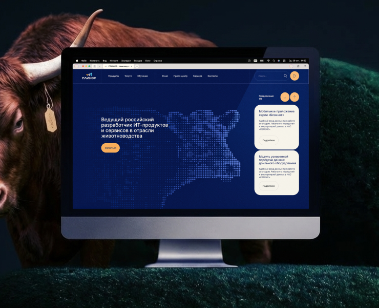 Плинор // Брендинг и сайт IT-вендора на Dprofile