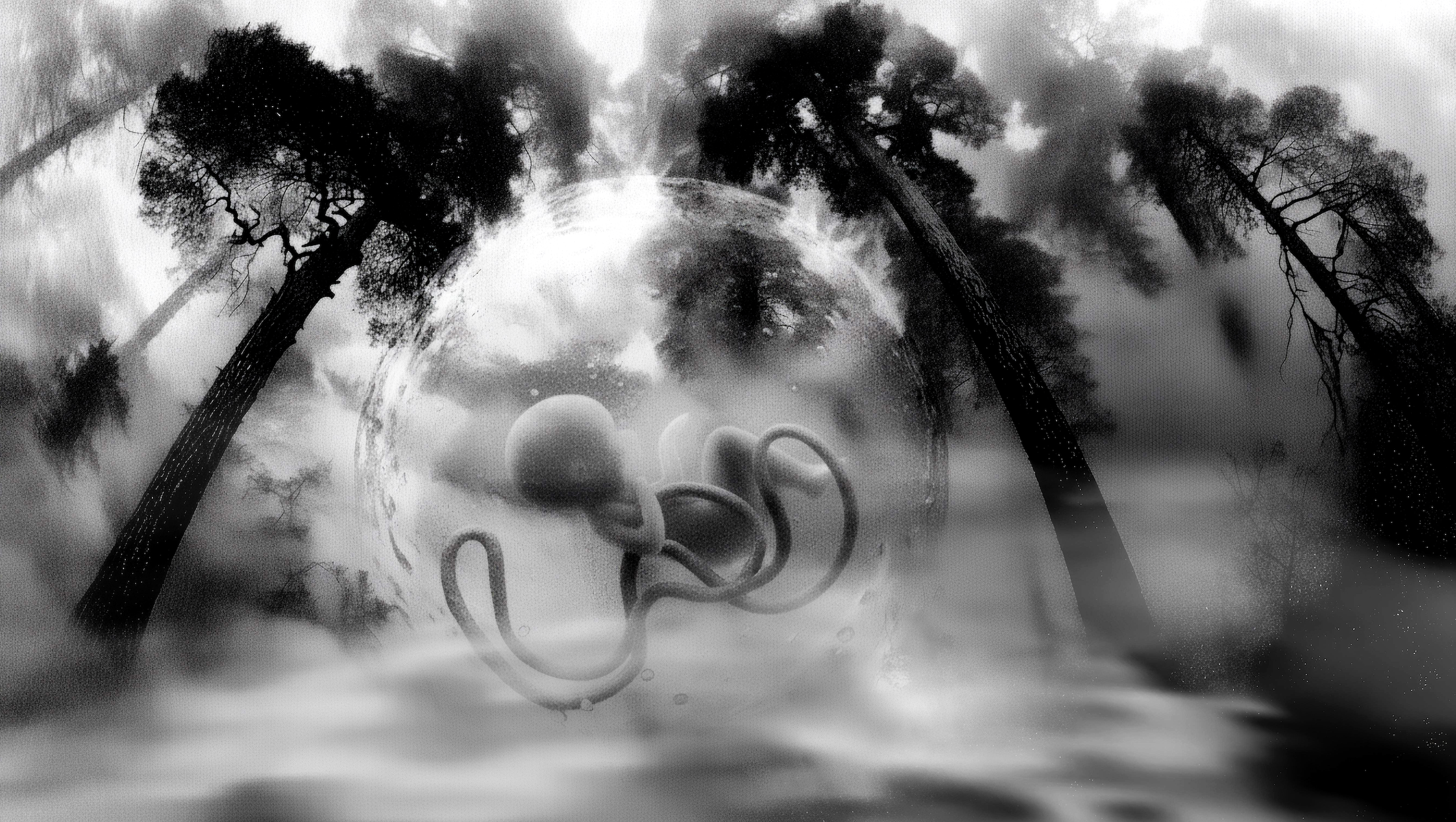 Ai Video-art MUTTER — Изображение №3 — Графика, Анимация на Dprofile