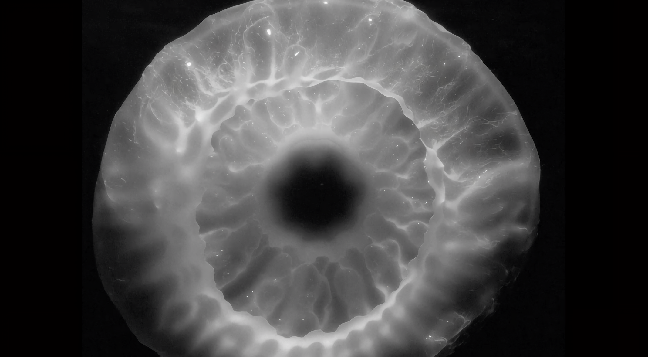 Ai Video-art MUTTER — Изображение №11 — Графика, Анимация на Dprofile