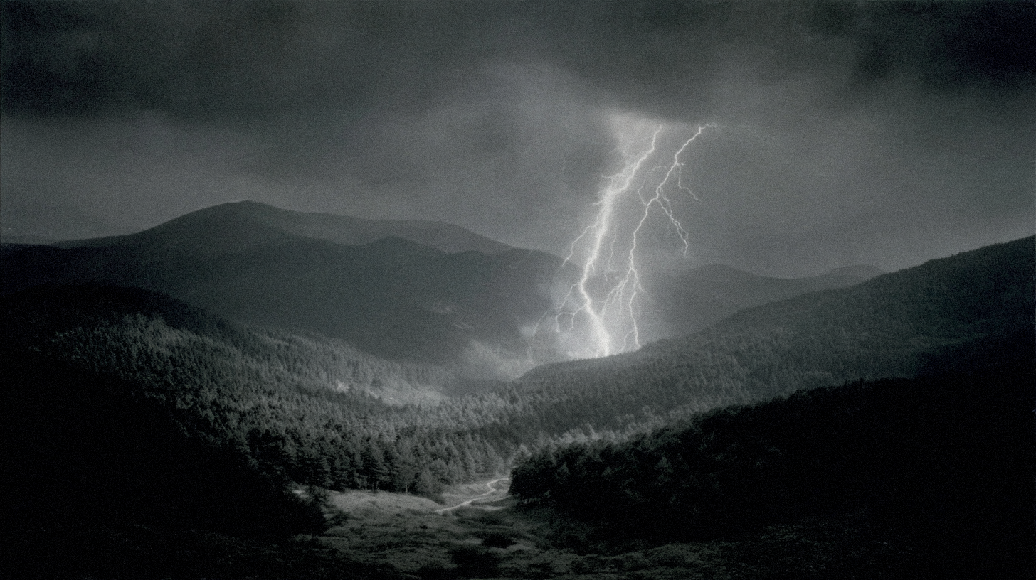 Ai Video-art MUTTER — Изображение №8 — Графика, Анимация на Dprofile