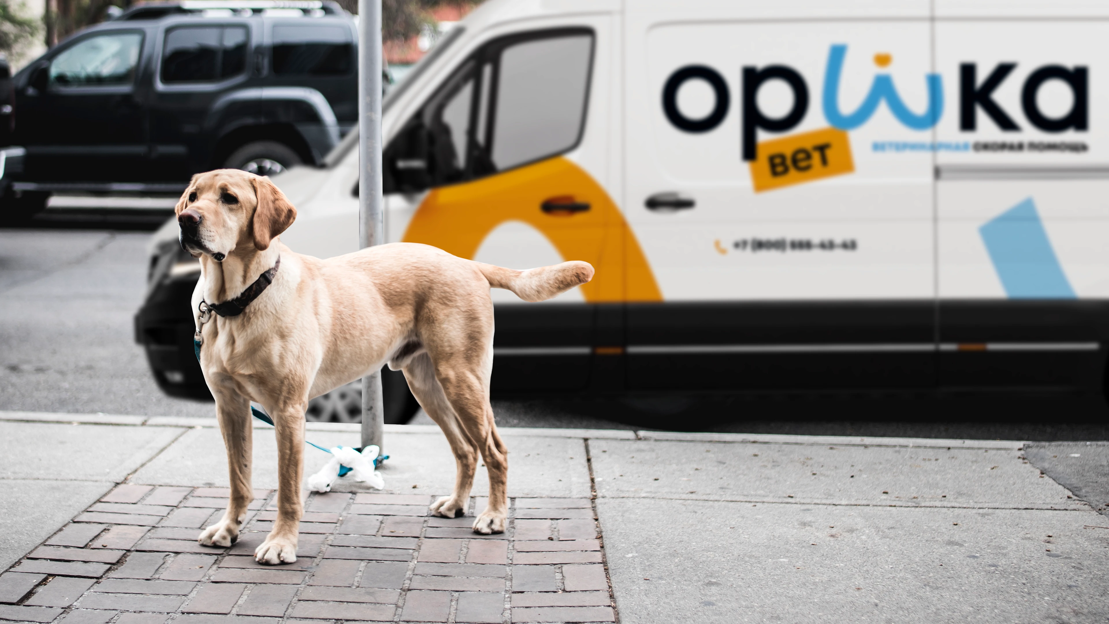 Орика — Изображение №8 — Брендинг, Промдизайн на Dprofile