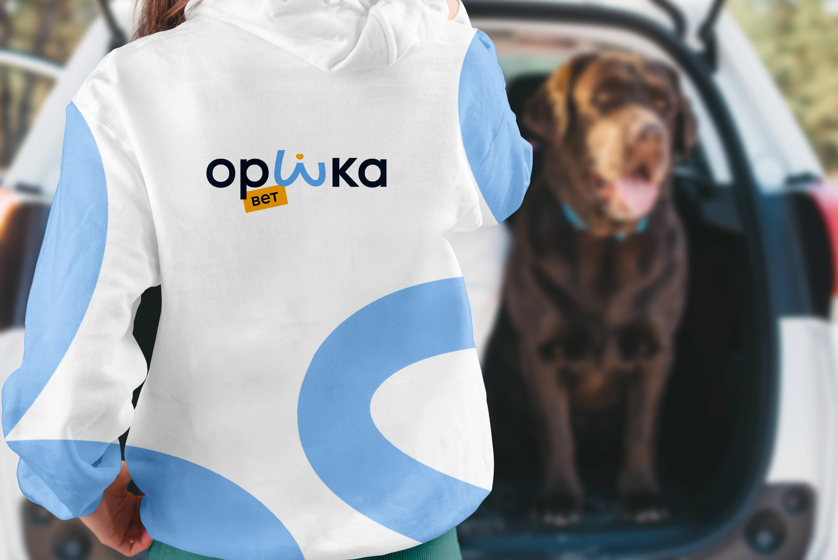 Орика — Изображение №4 — Брендинг, Промдизайн на Dprofile