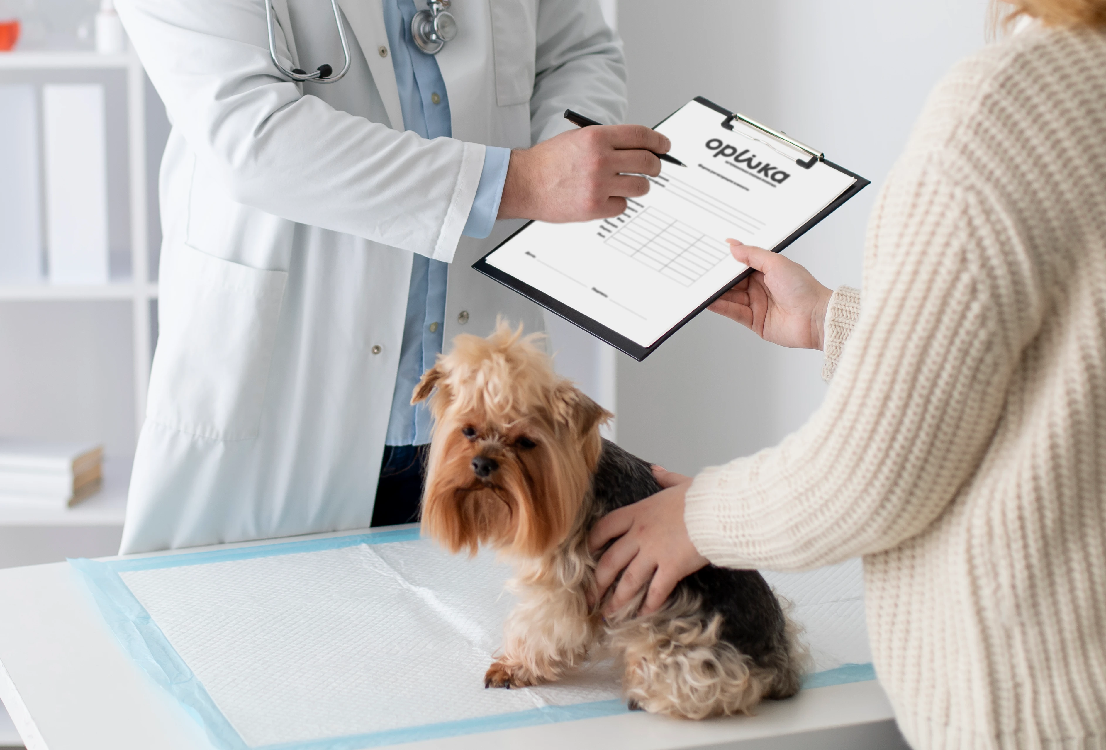 Орика — Изображение №5 — Брендинг, Промдизайн на Dprofile