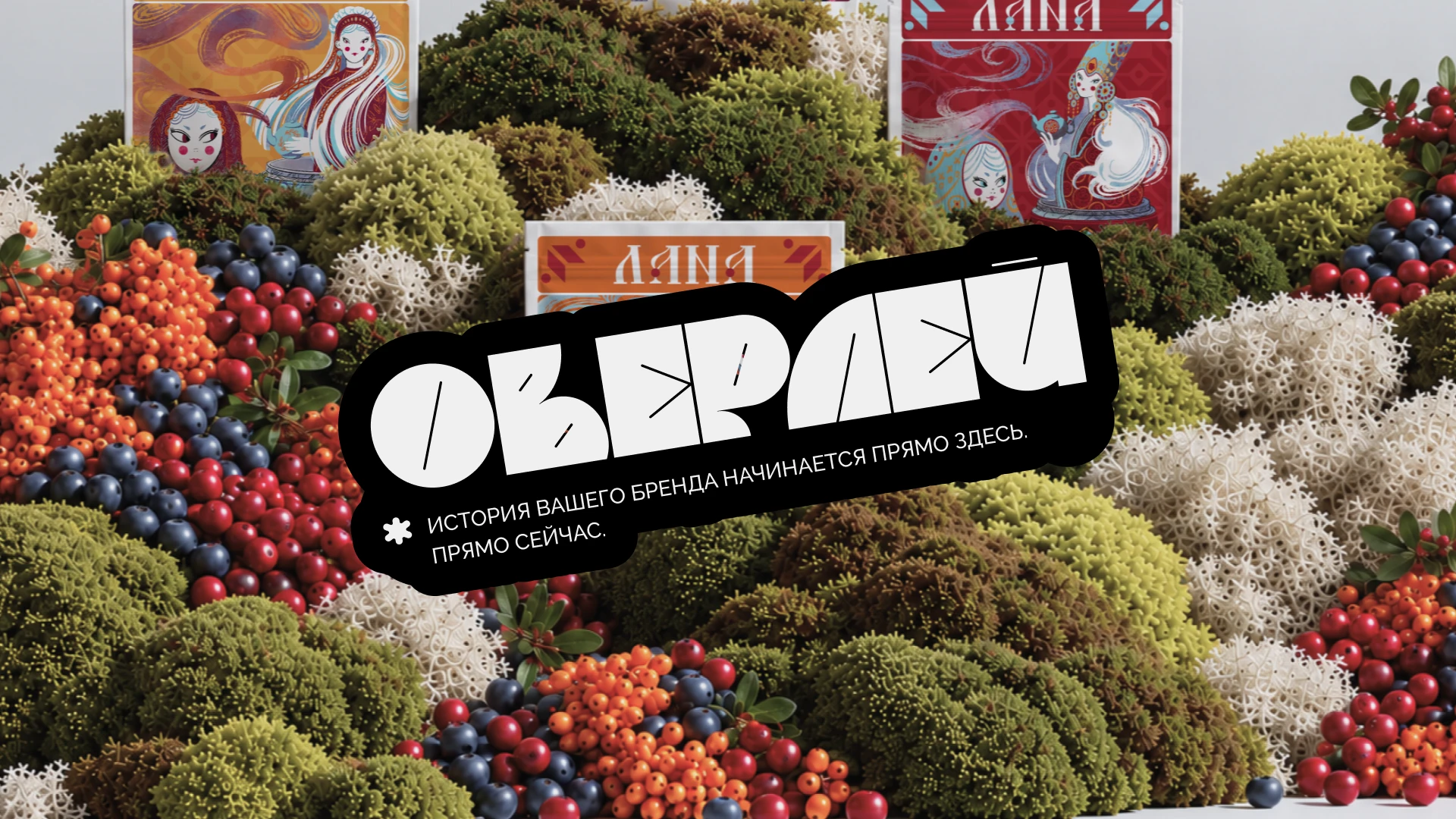 ЛАНА / БРЕНДИНГ И УПАКОВКА — Изображение №19 — Брендинг на Dprofile
