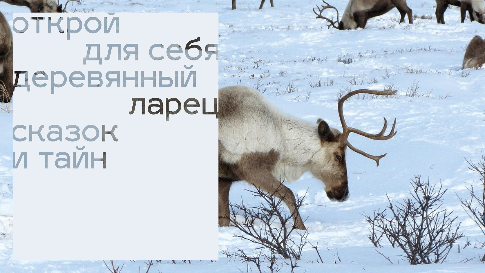 Айдентика студии резьбы по дереву — Изображение №3 — Брендинг, Иллюстрация на Dprofile