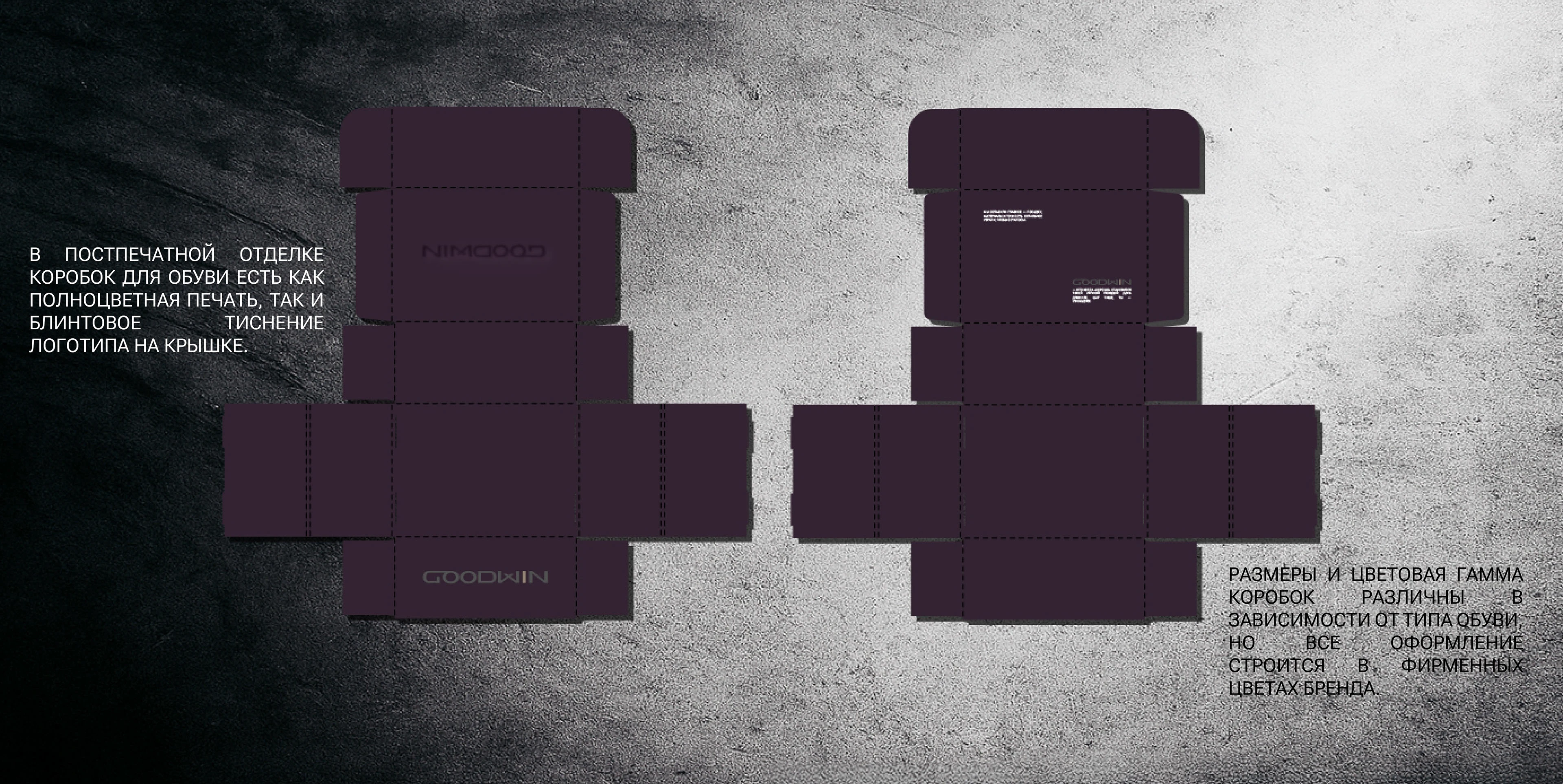 Брендинг логотип фирменный стиль бренд обуви/одежды — Изображение №9 — Брендинг на Dprofile