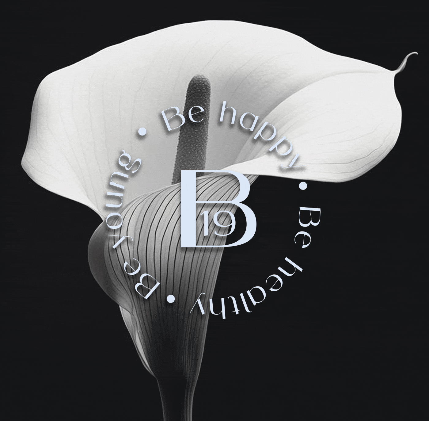 Фирменный стиль, логотип, упаковка бренда косметики и БАД — Изображение №3 — Брендинг на Dprofile