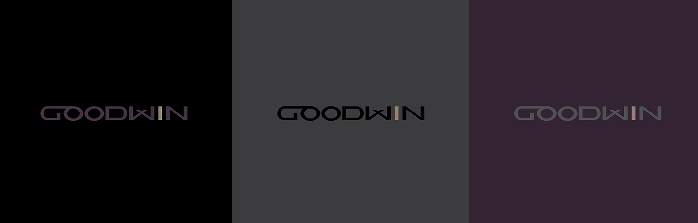 Брендинг логотип фирменный стиль бренд обуви/одежды — Изображение №2 — Брендинг на Dprofile