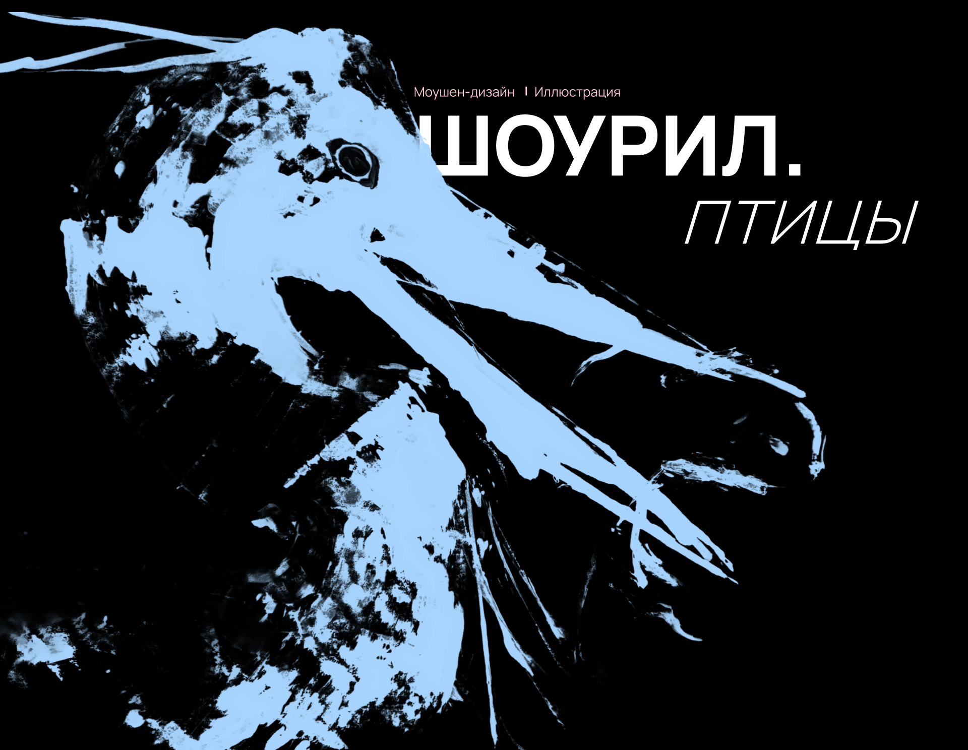 ПТИЦЫ | ИЛЛЮСТРАТИВНЫЙ МОУШЕН-ШОУРИЛ — Изображение №1 — Иллюстрация, Анимация на Dprofile